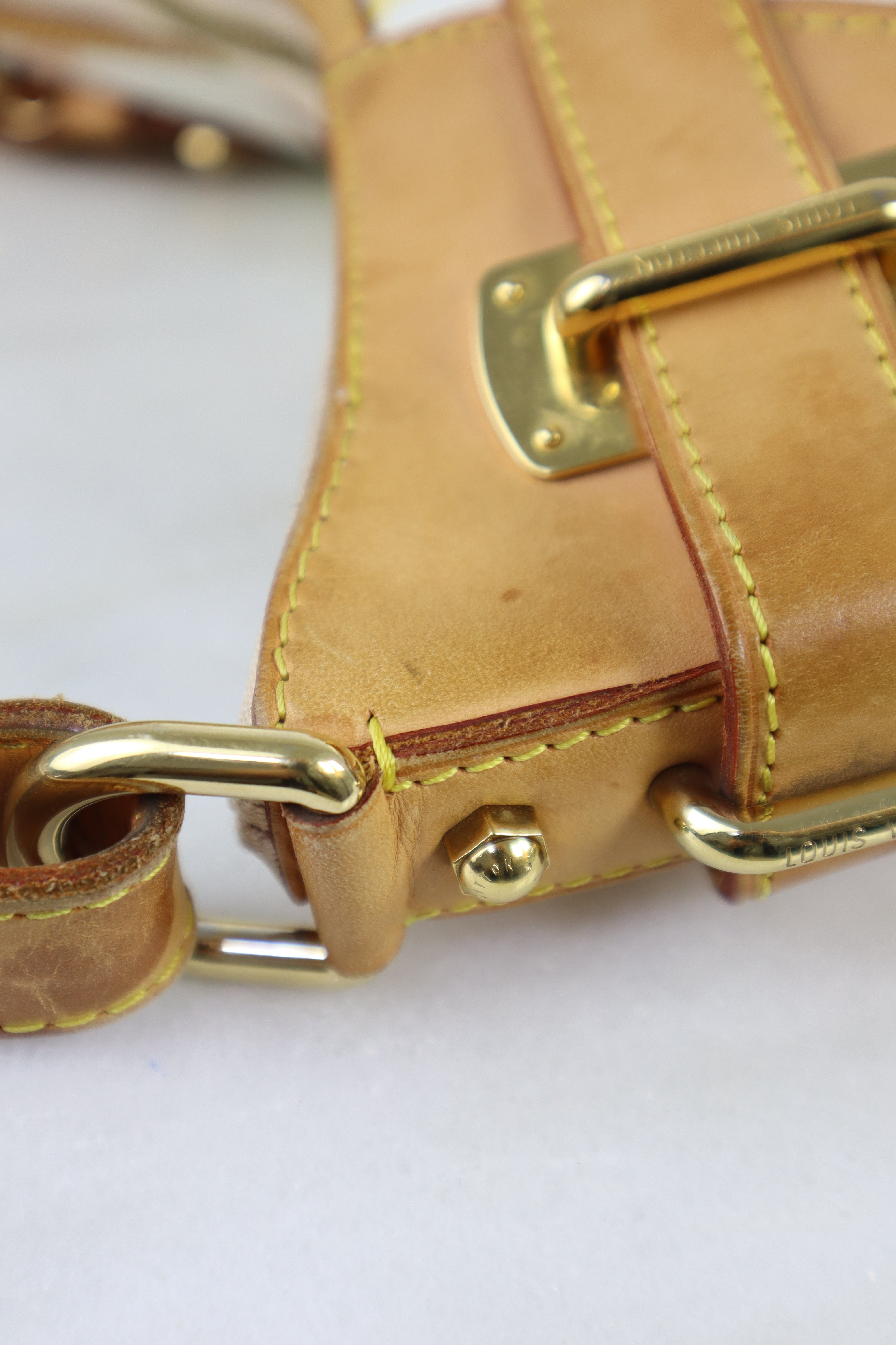 Louis Vuitton Multicolor Monogram Greta Hobo Bag