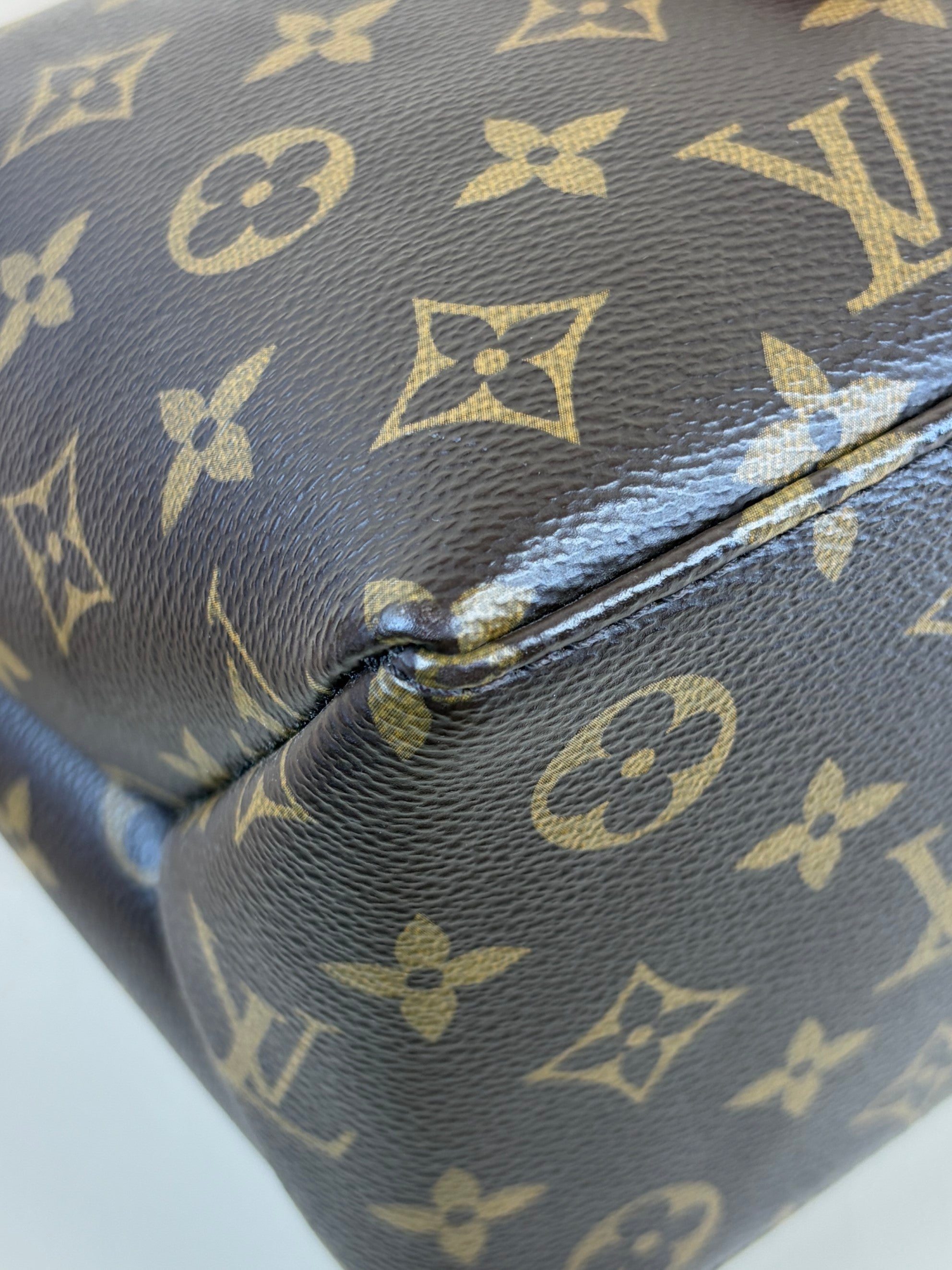 Louis Vuitton Monogram canvas petit palais tote bag