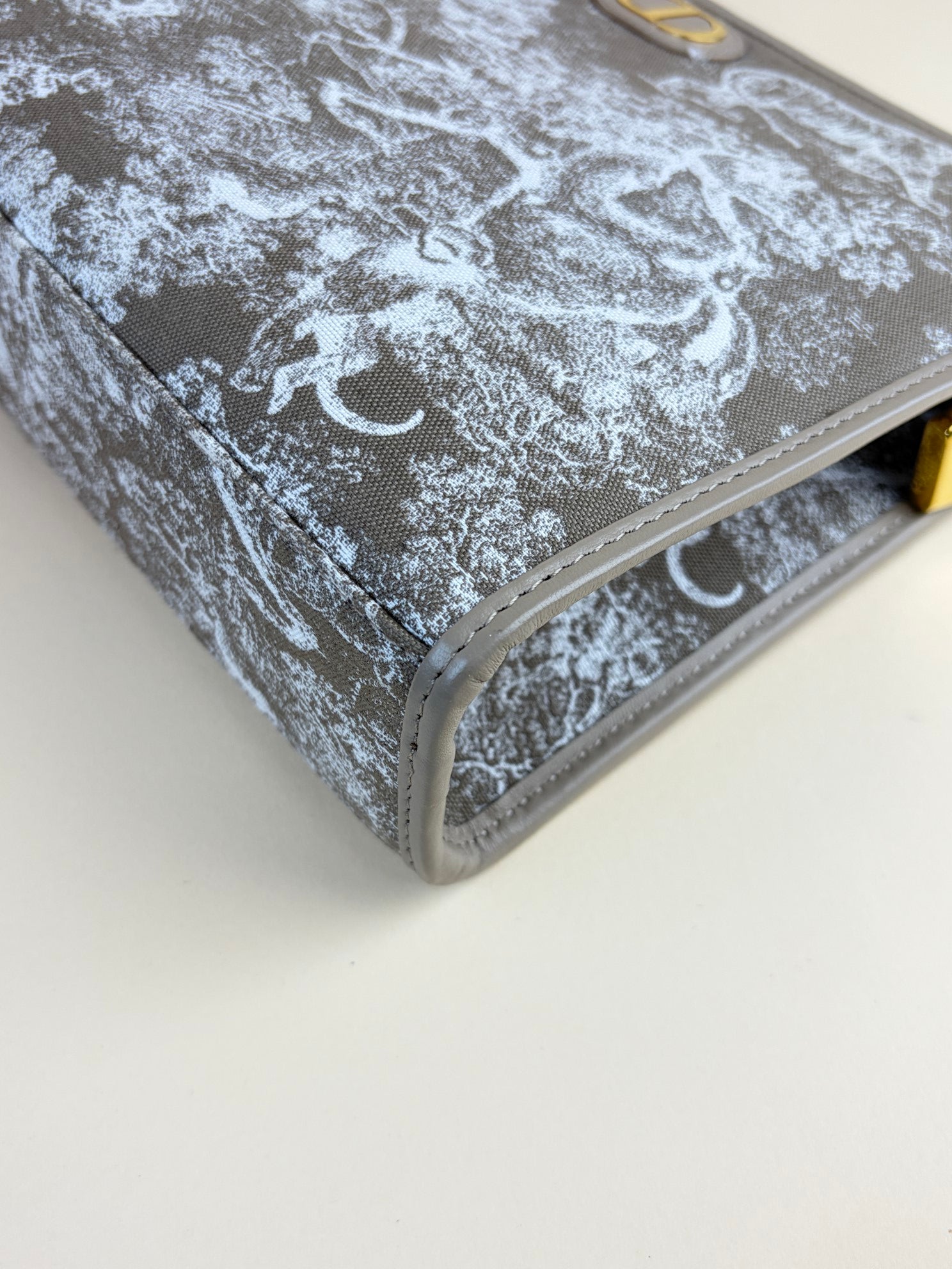 Christian Dior beige white toile de Jouy reverse jacquard 30 Montaigne dea Pouch