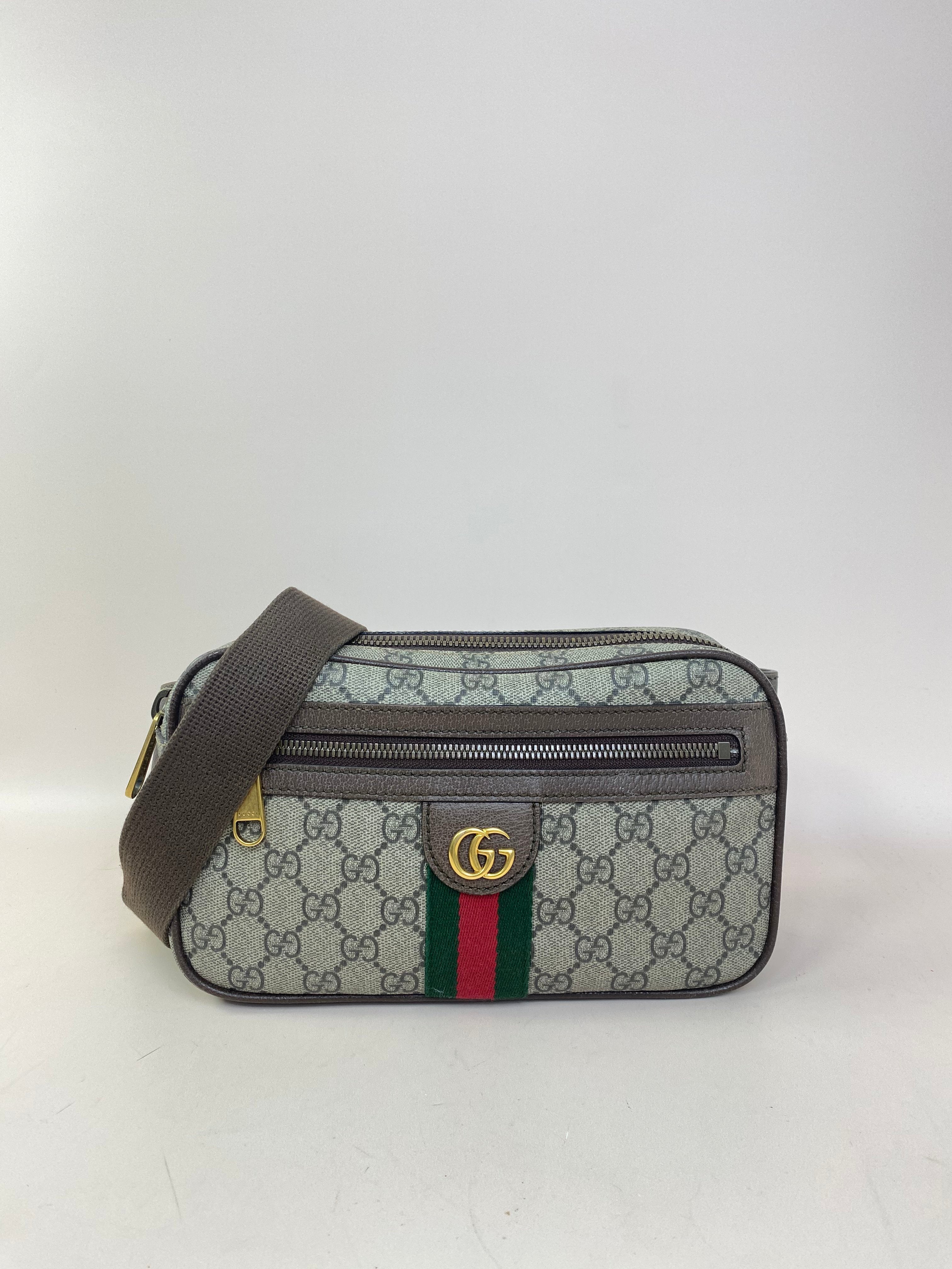 Gucci Bicolor GG Ophidia Belt Bag
