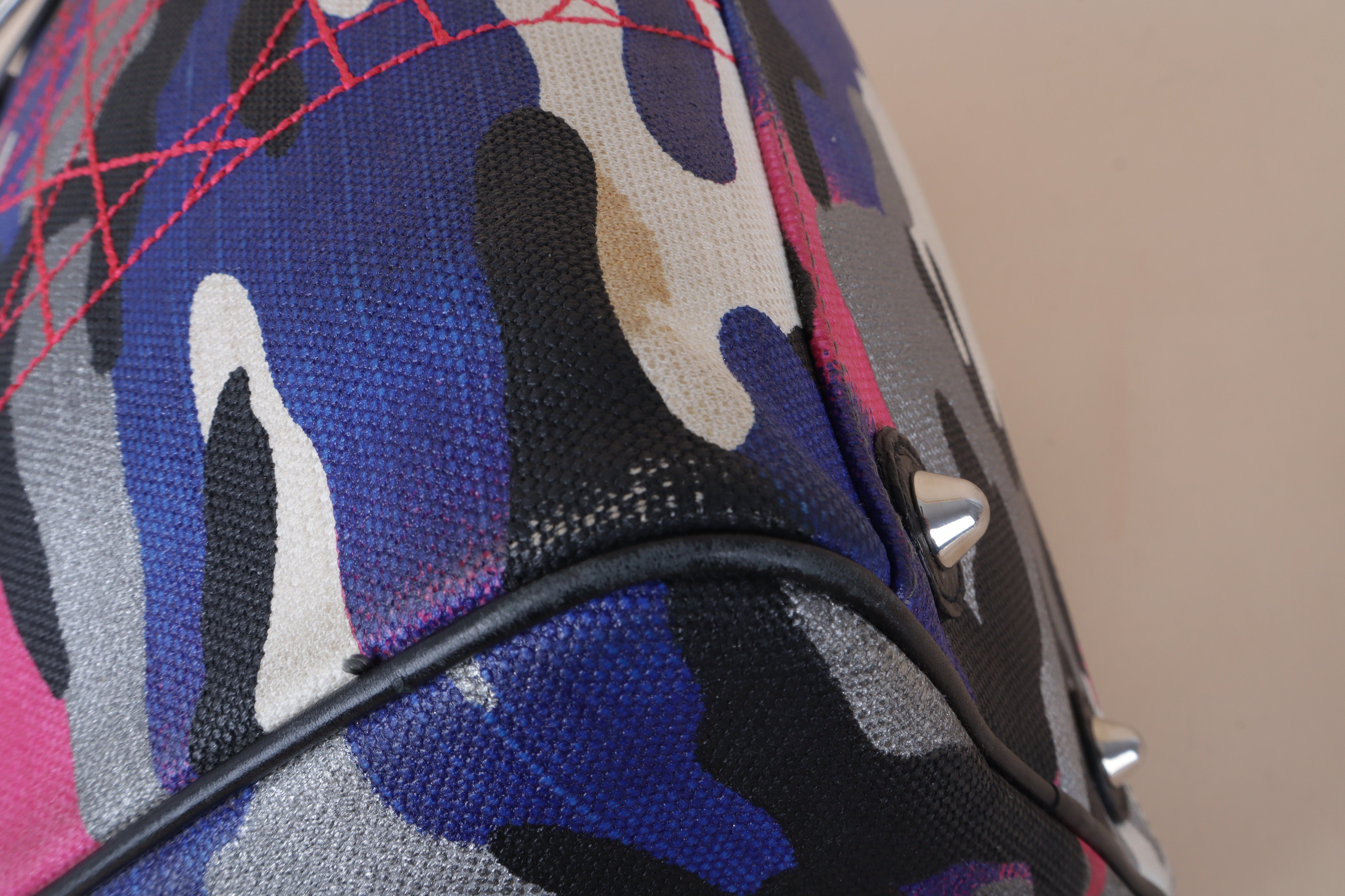 DIOR Canvas MULTICOLOR