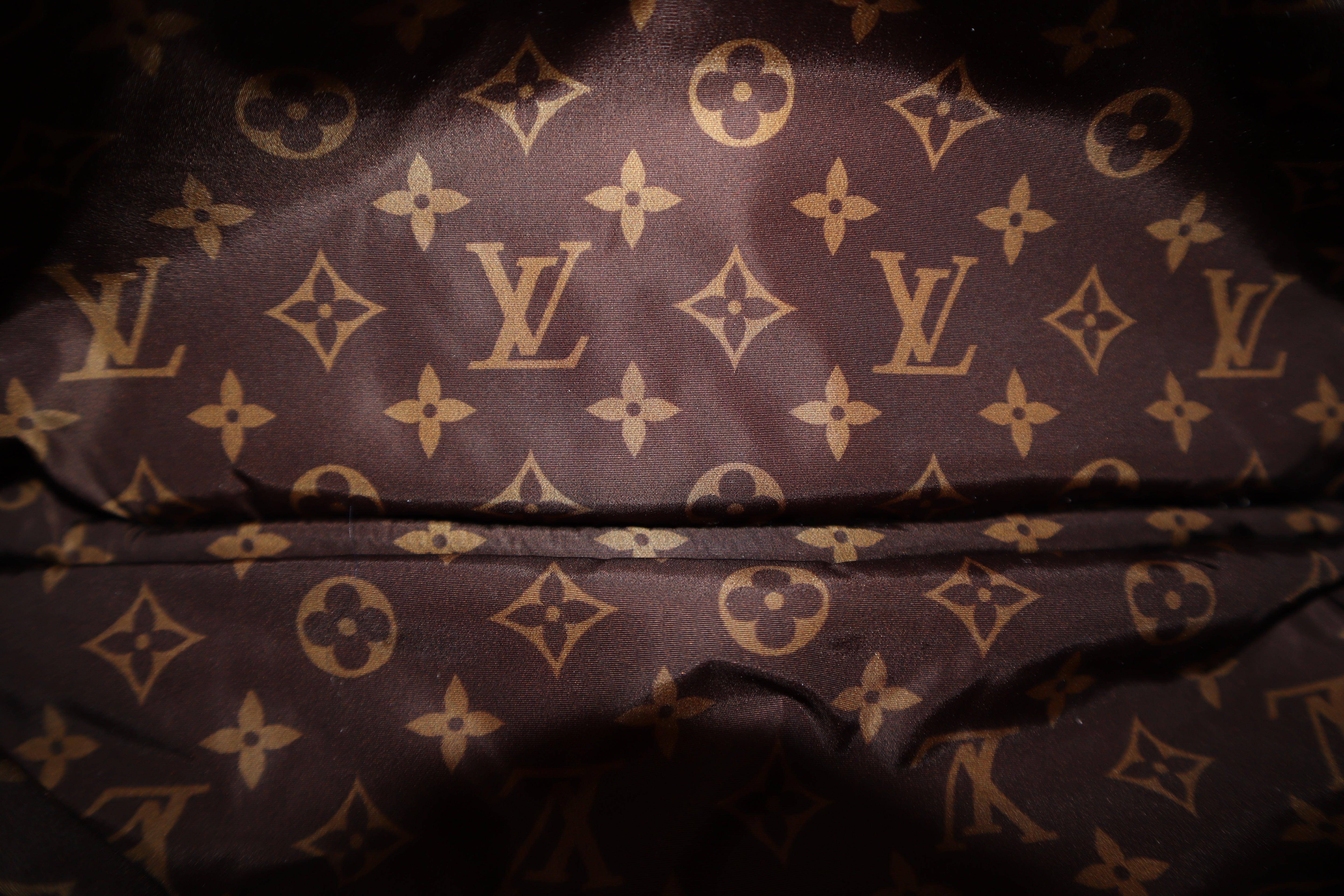 Louis Vuitton Bicolor Econyl Nylon Pillow Maxi Multi Pochette