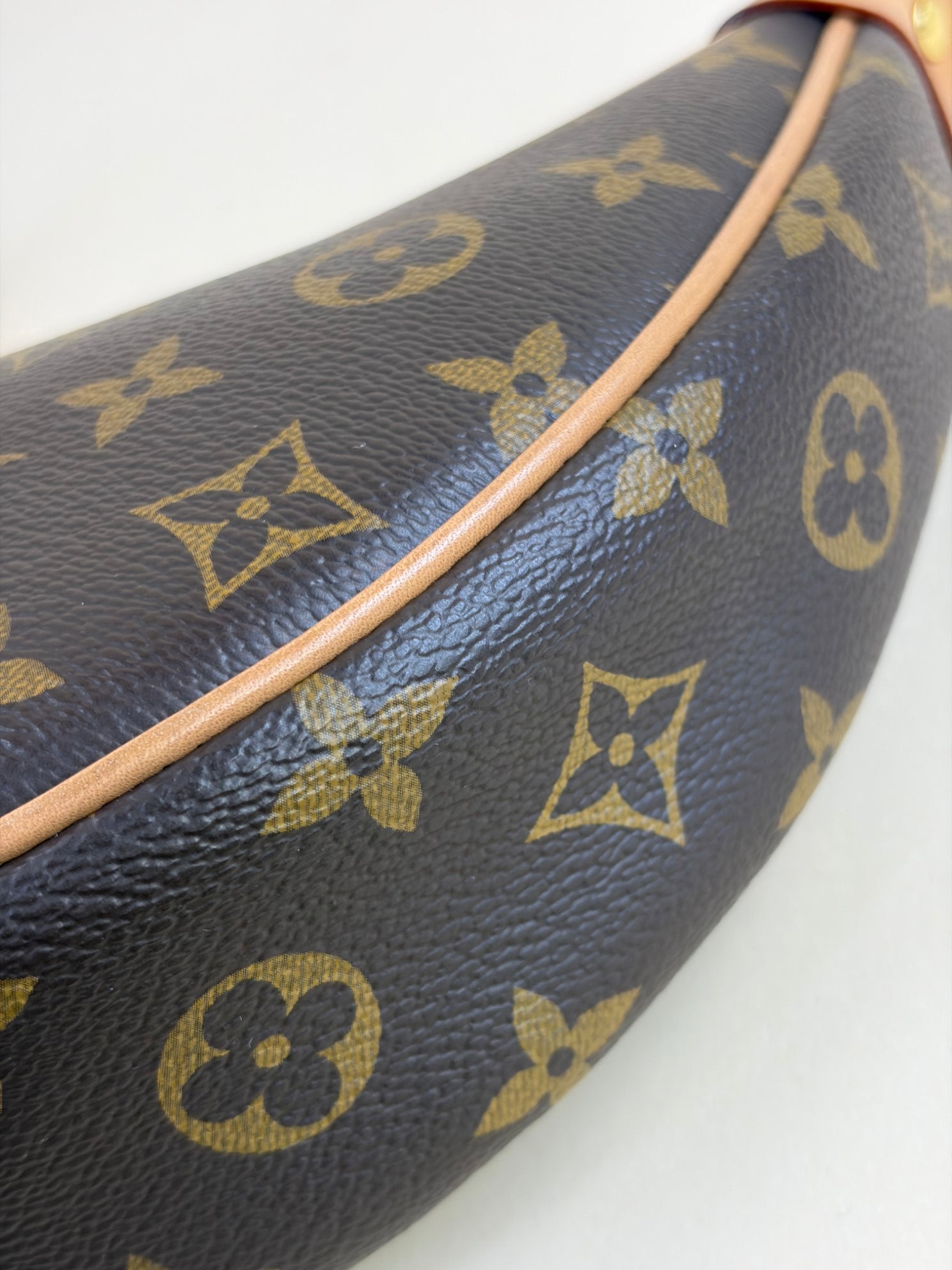 Louis Vuitton Monogram Loop PM Hand Bag