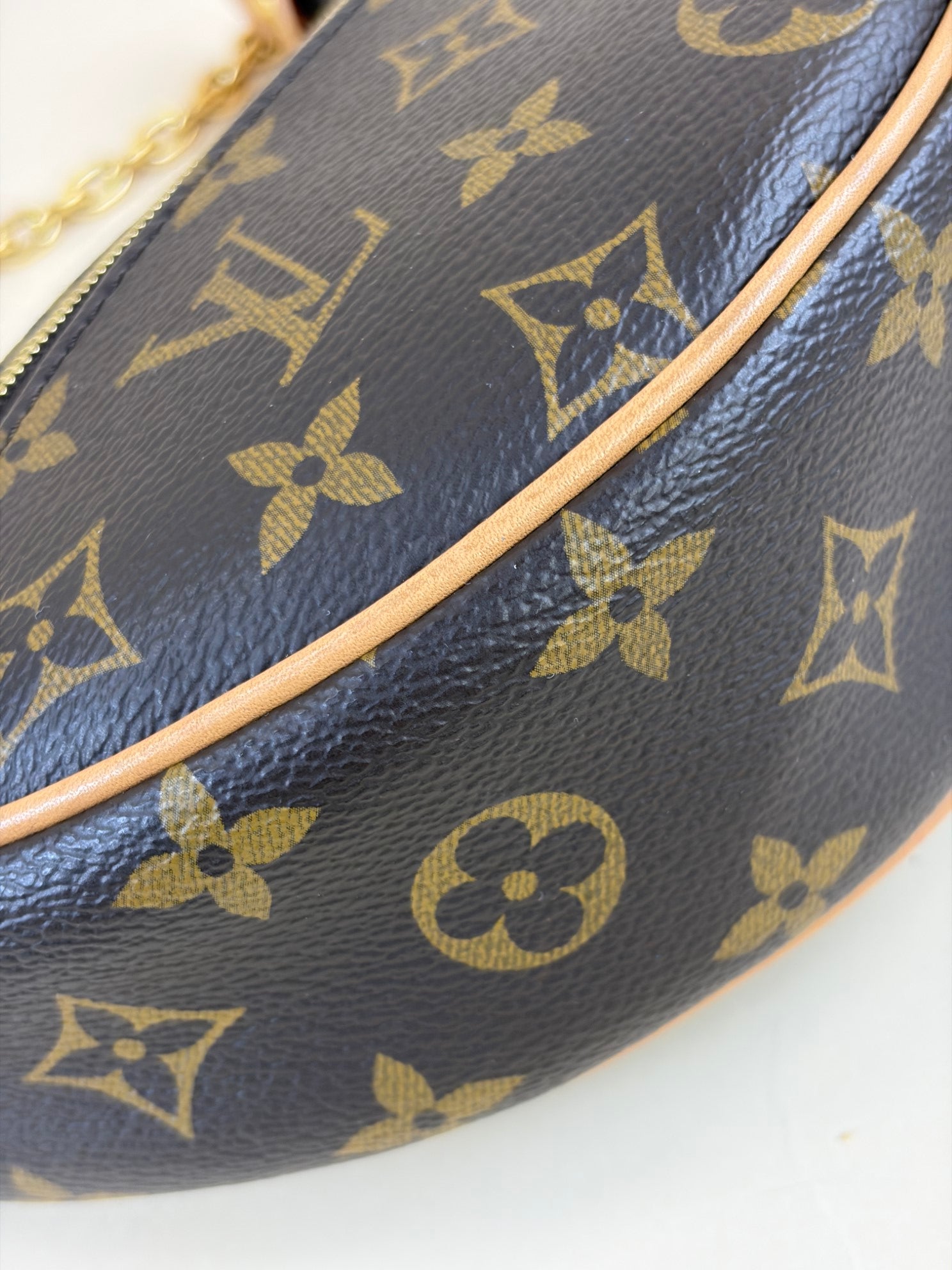 Louis Vuitton Monogram Loop PM Hand Bag