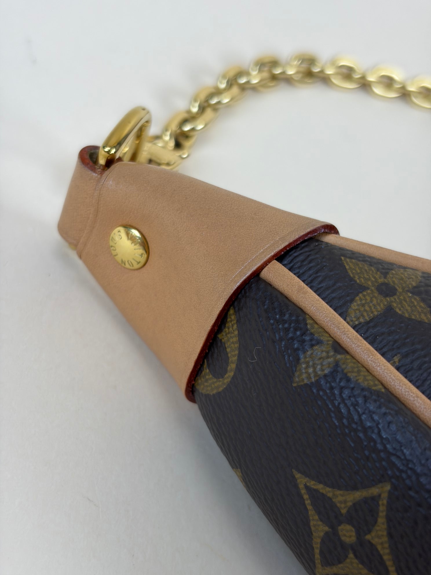 Louis Vuitton Monogram Loop PM Hand Bag