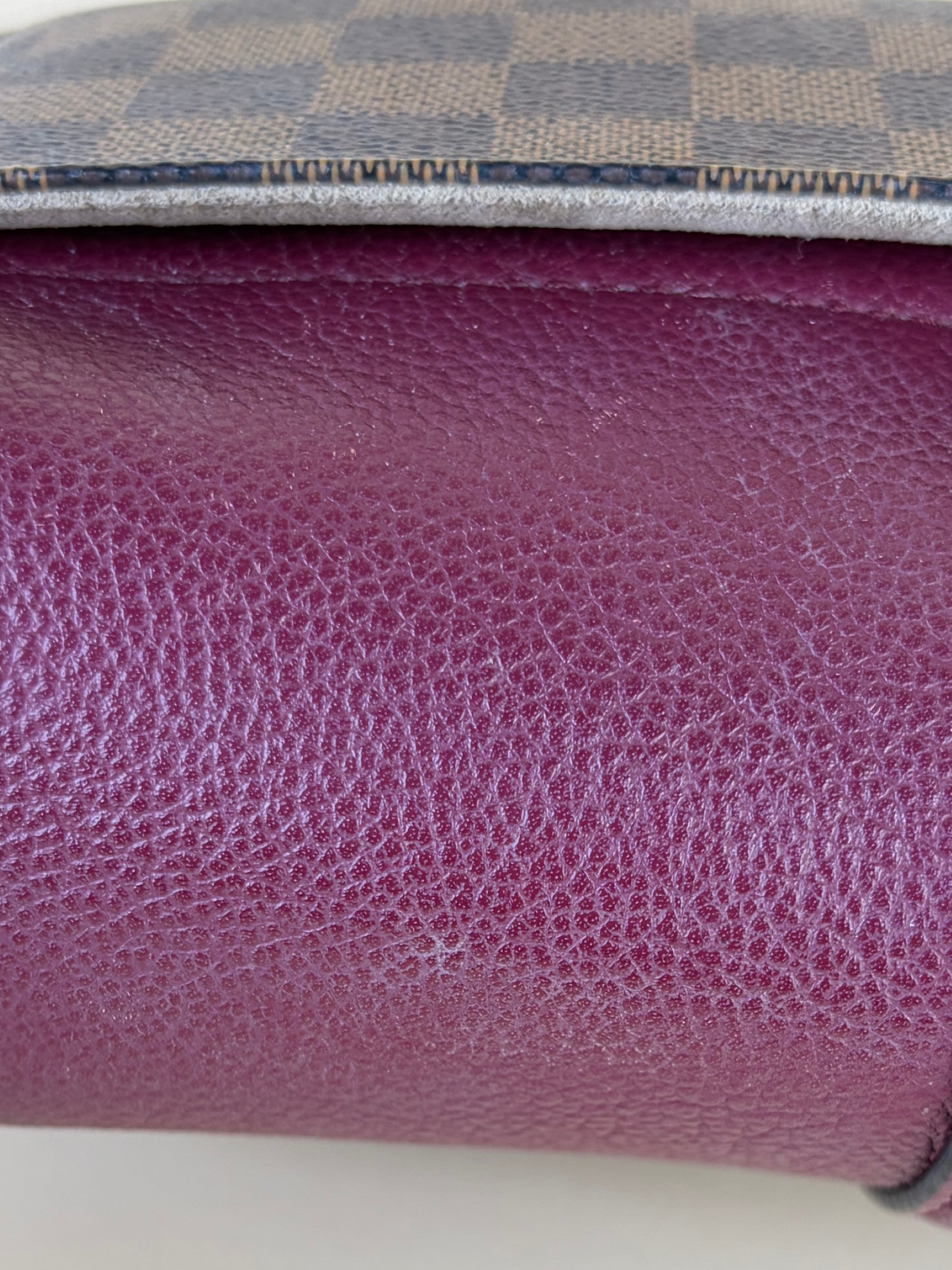 louis Vuitton raisin calfskin Damier ebene canvas clapton cross body bag
