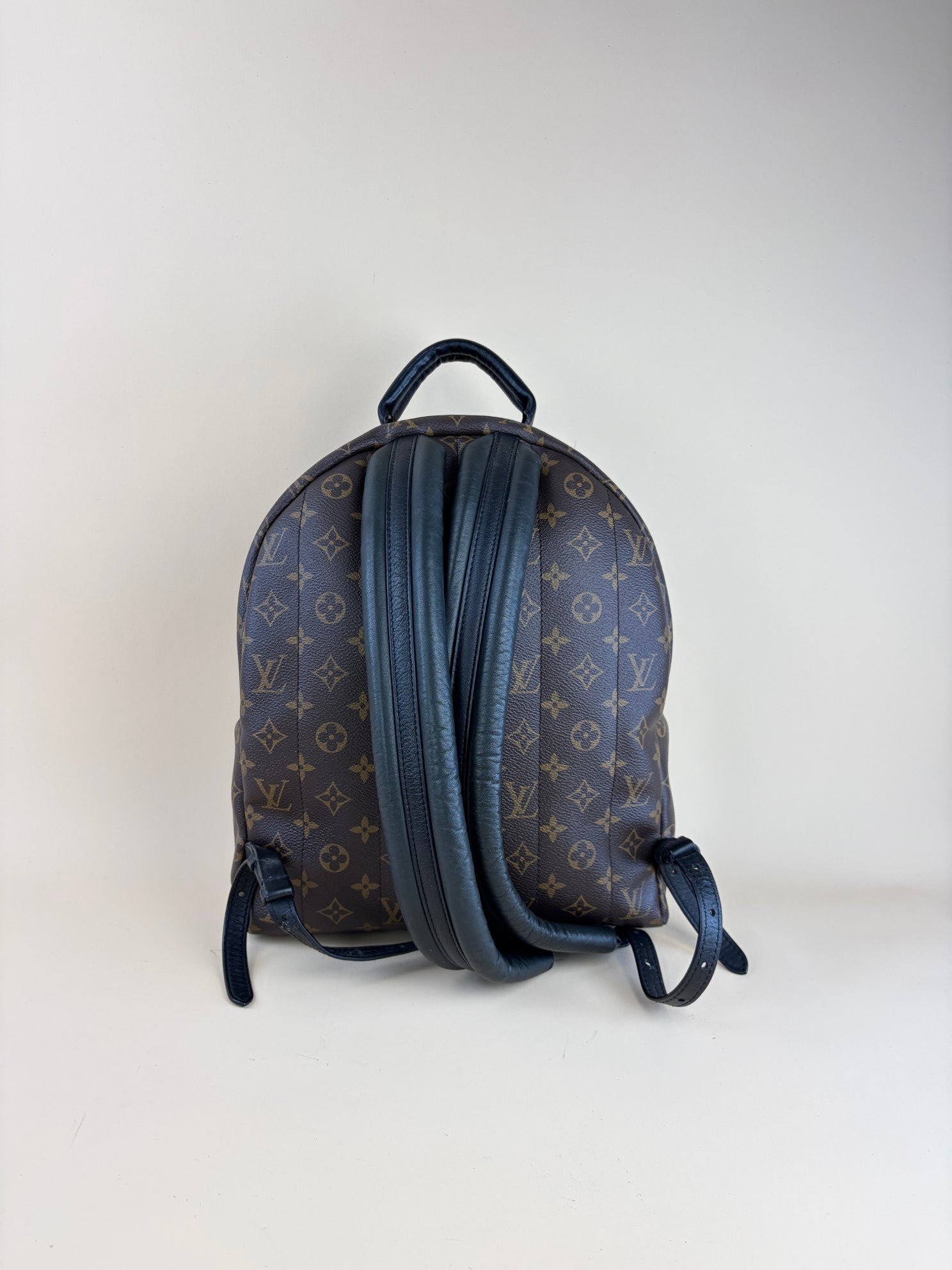 Louis Vuitton Monogram MM Palm Springs Backpack Bag