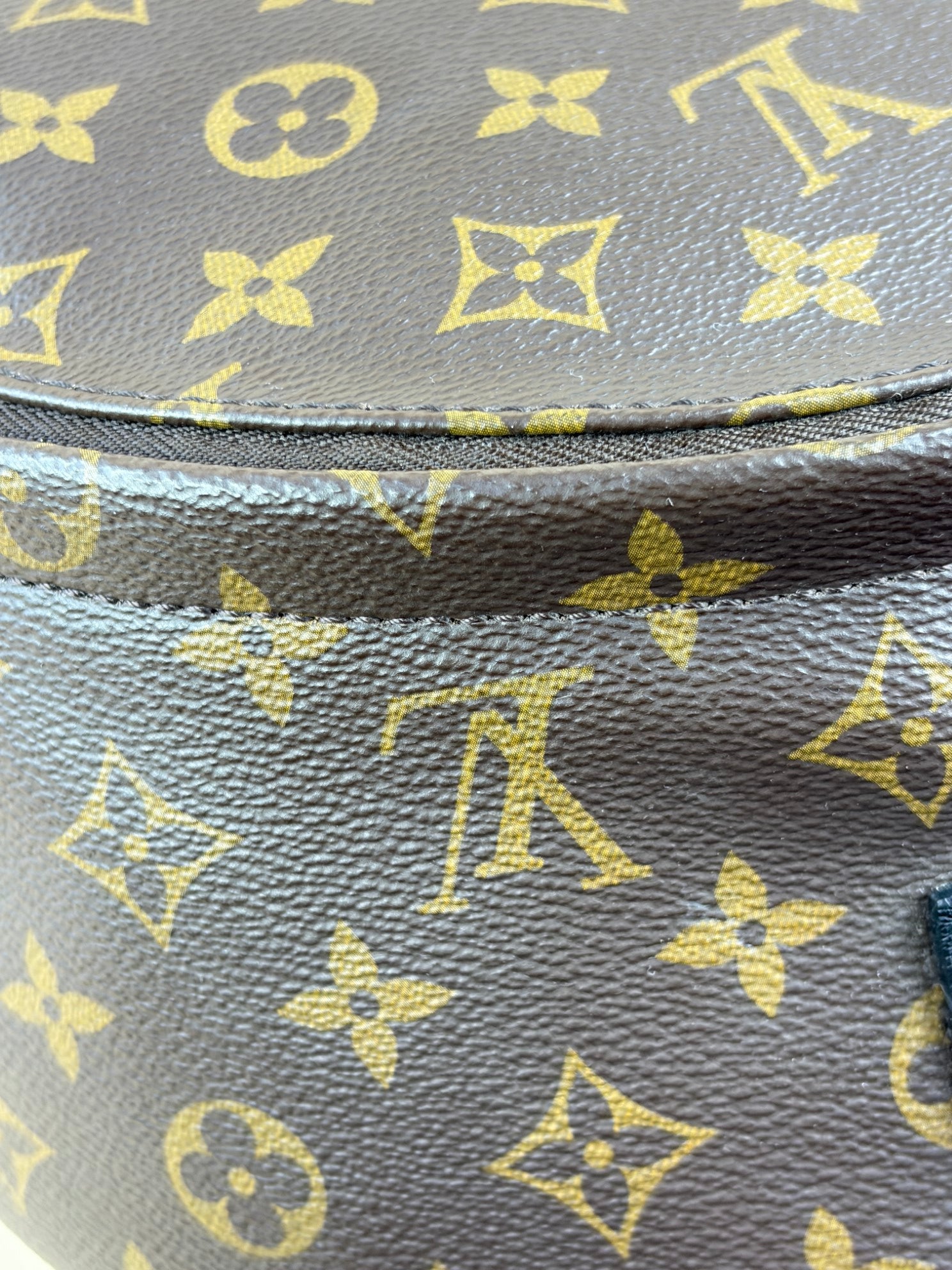 Louis Vuitton Monogram MM Palm Springs Backpack Bag