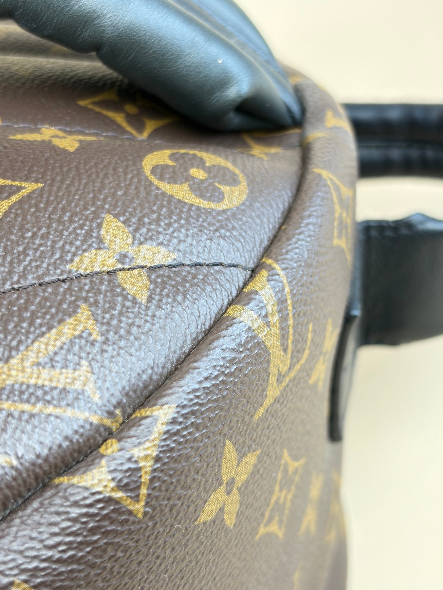 Louis Vuitton Monogram MM Palm Springs Backpack Bag