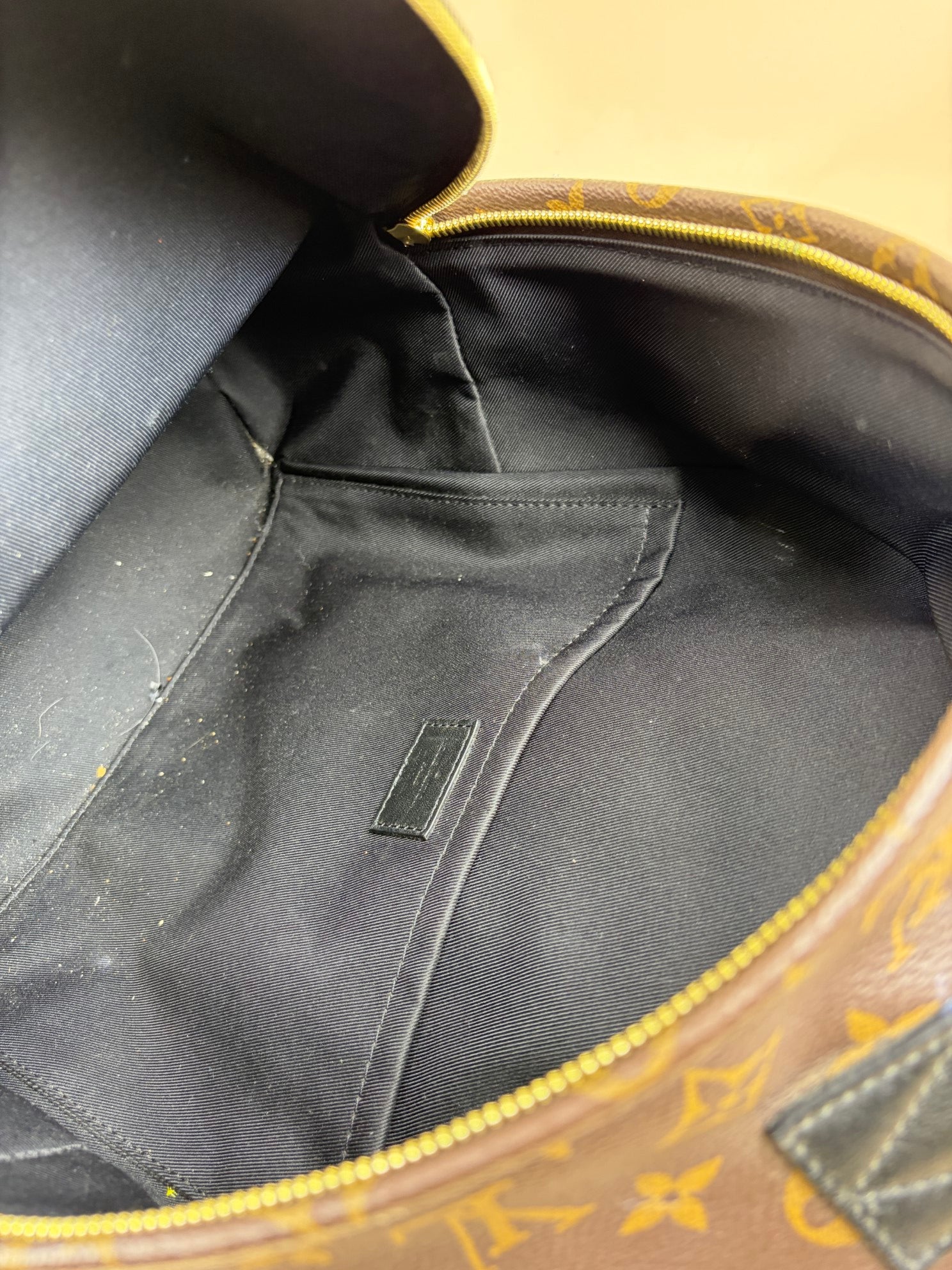 Louis Vuitton Monogram MM Palm Springs Backpack Bag