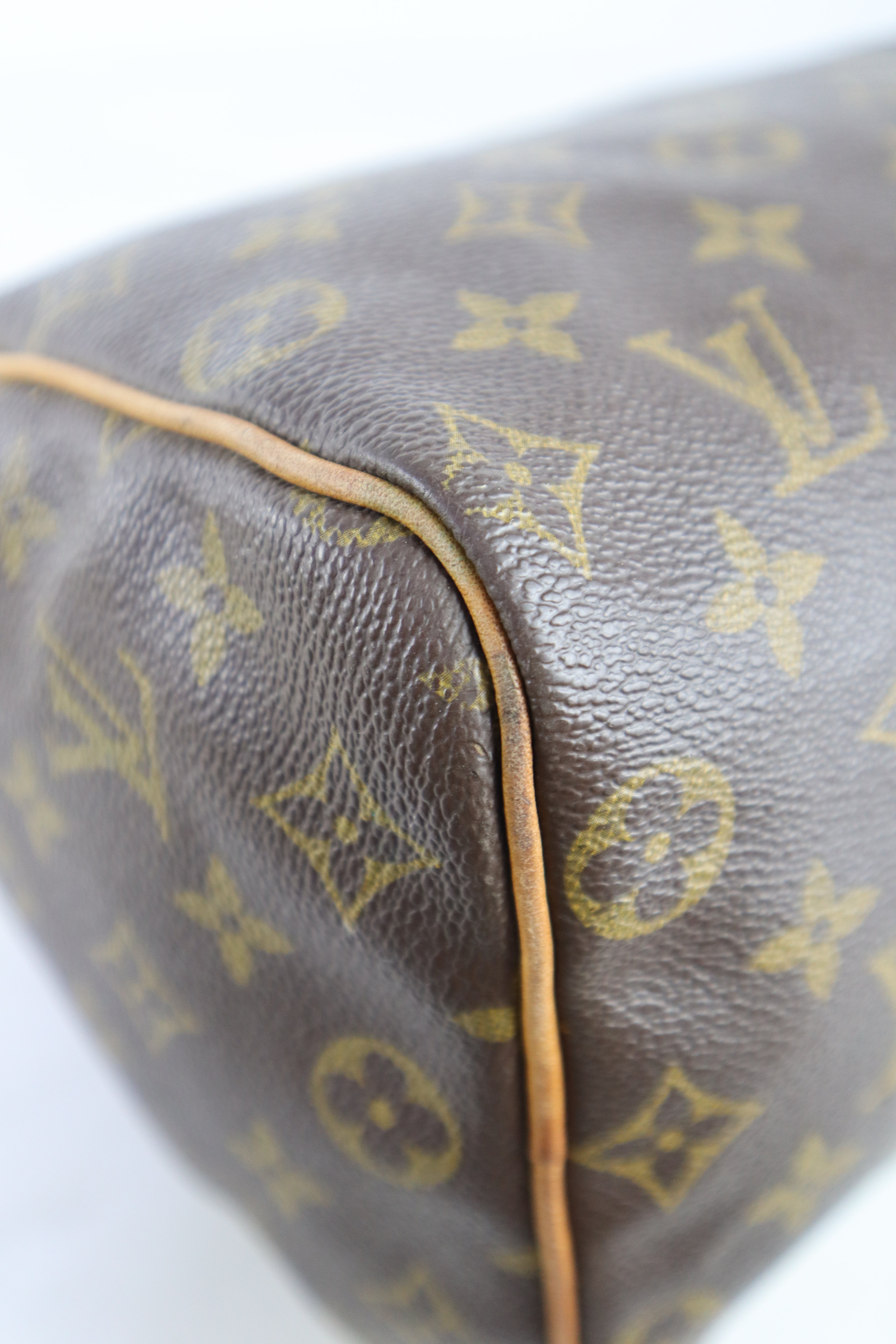 Louis Vuitton Monogram Speedy 25 Tote Bag