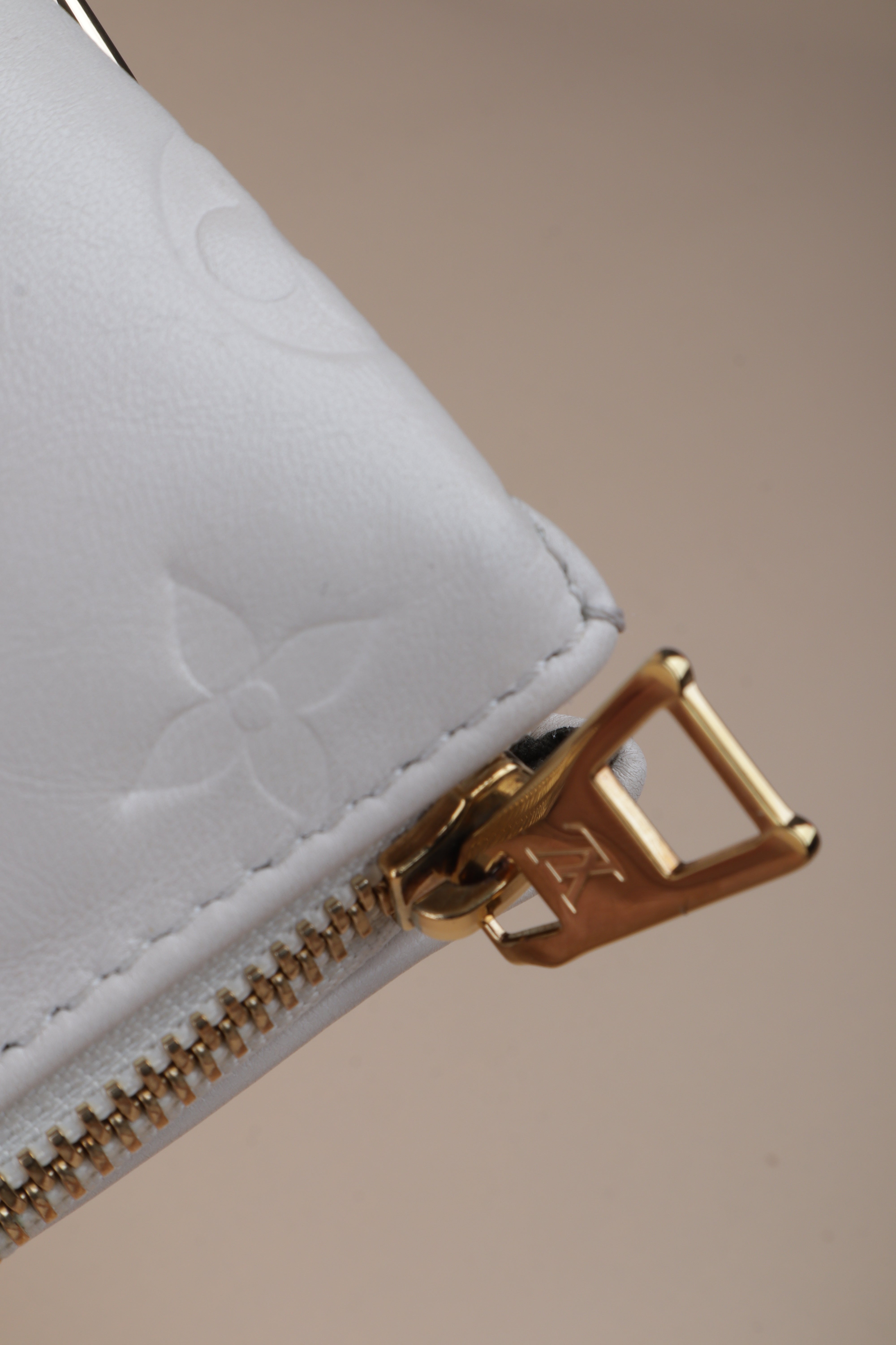 Louis Vuitton Monogram Embossed Coussin PM Bag