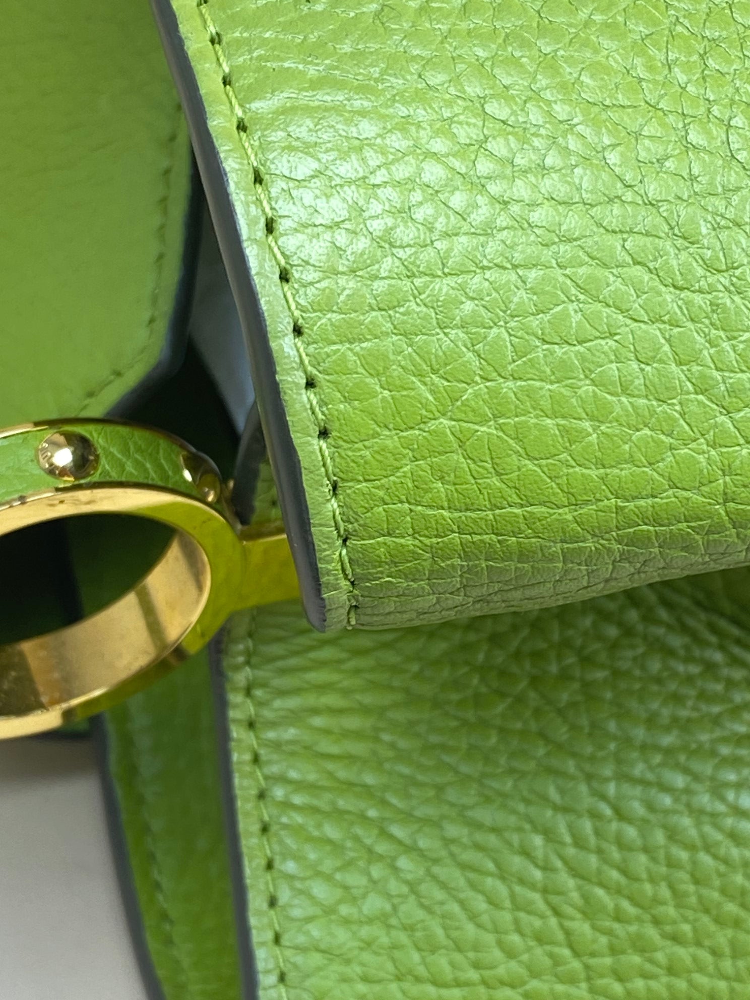 Louis Vuitton green Capucine's MM Tote Bag