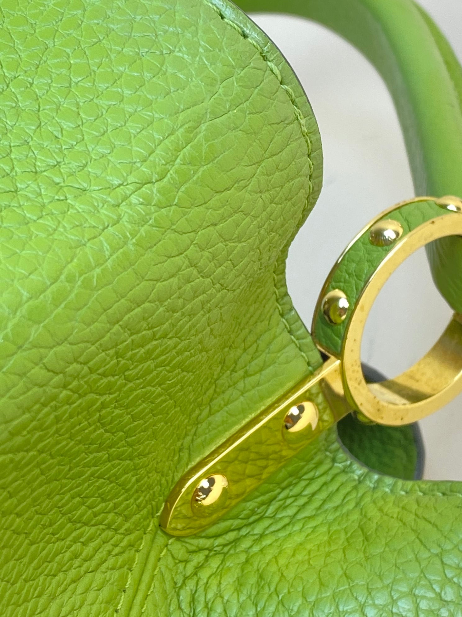 Louis Vuitton green Capucine's MM Tote Bag
