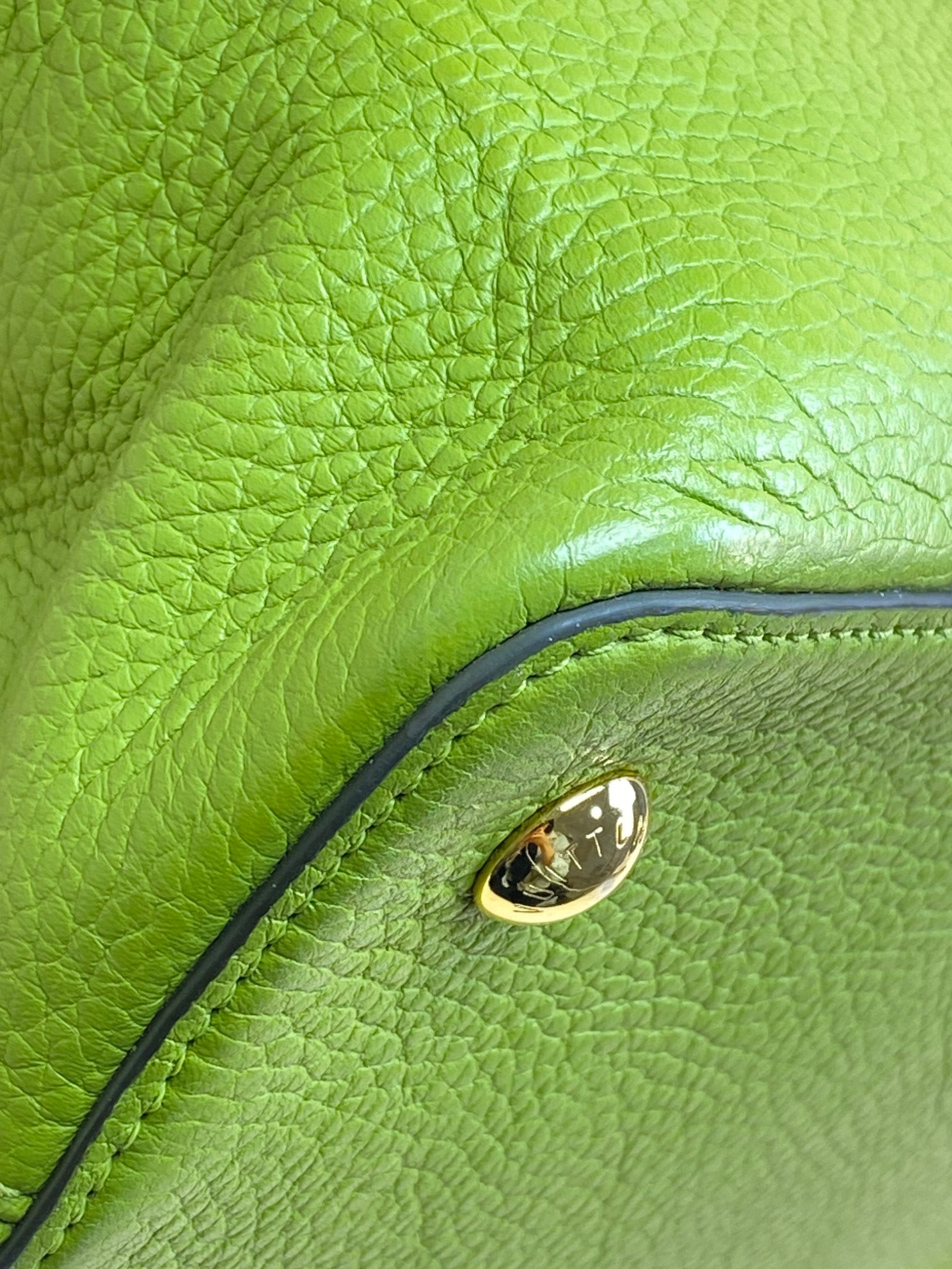 Louis Vuitton green Capucine's MM Tote Bag