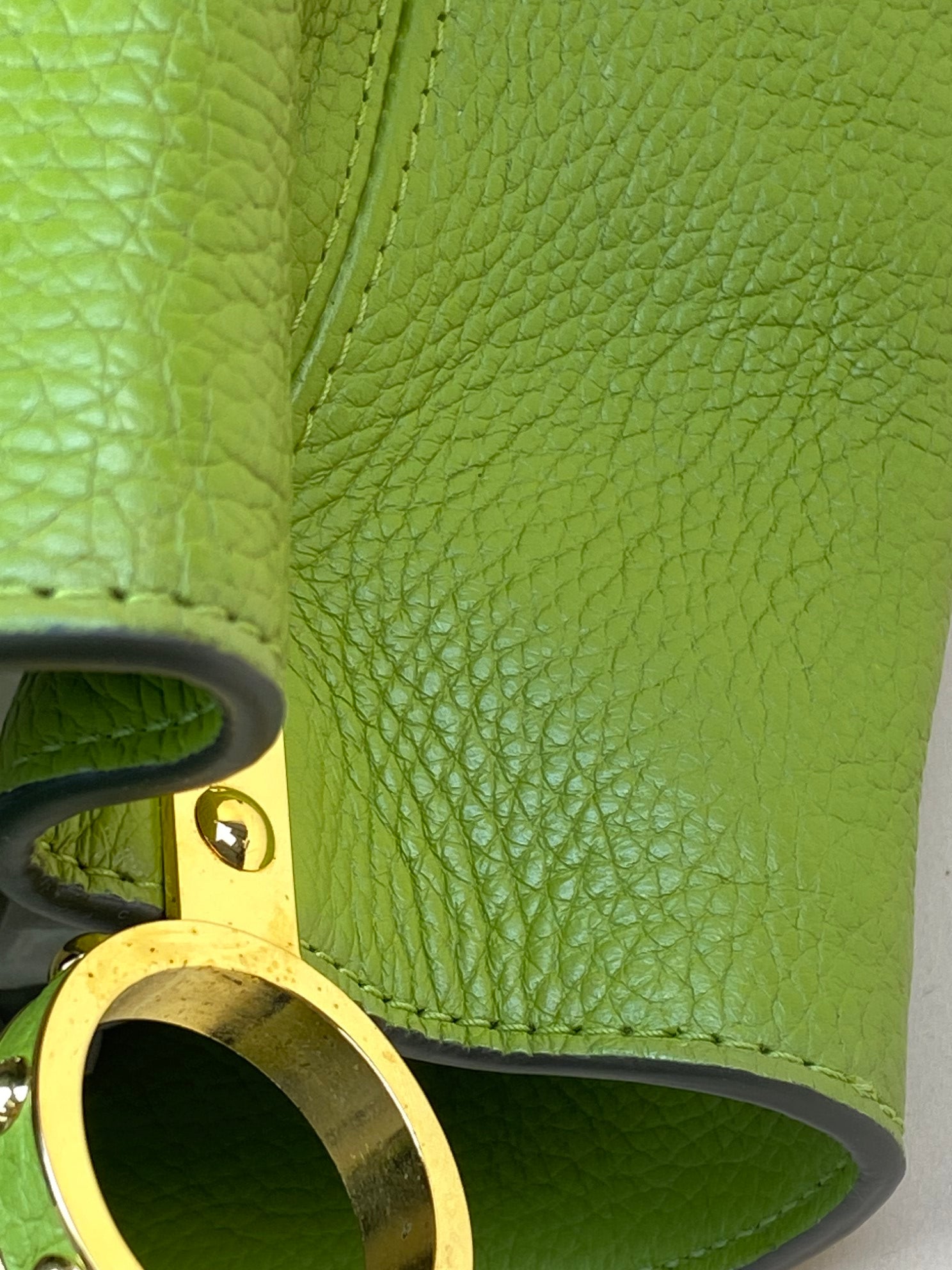Louis Vuitton green Capucine's MM Tote Bag