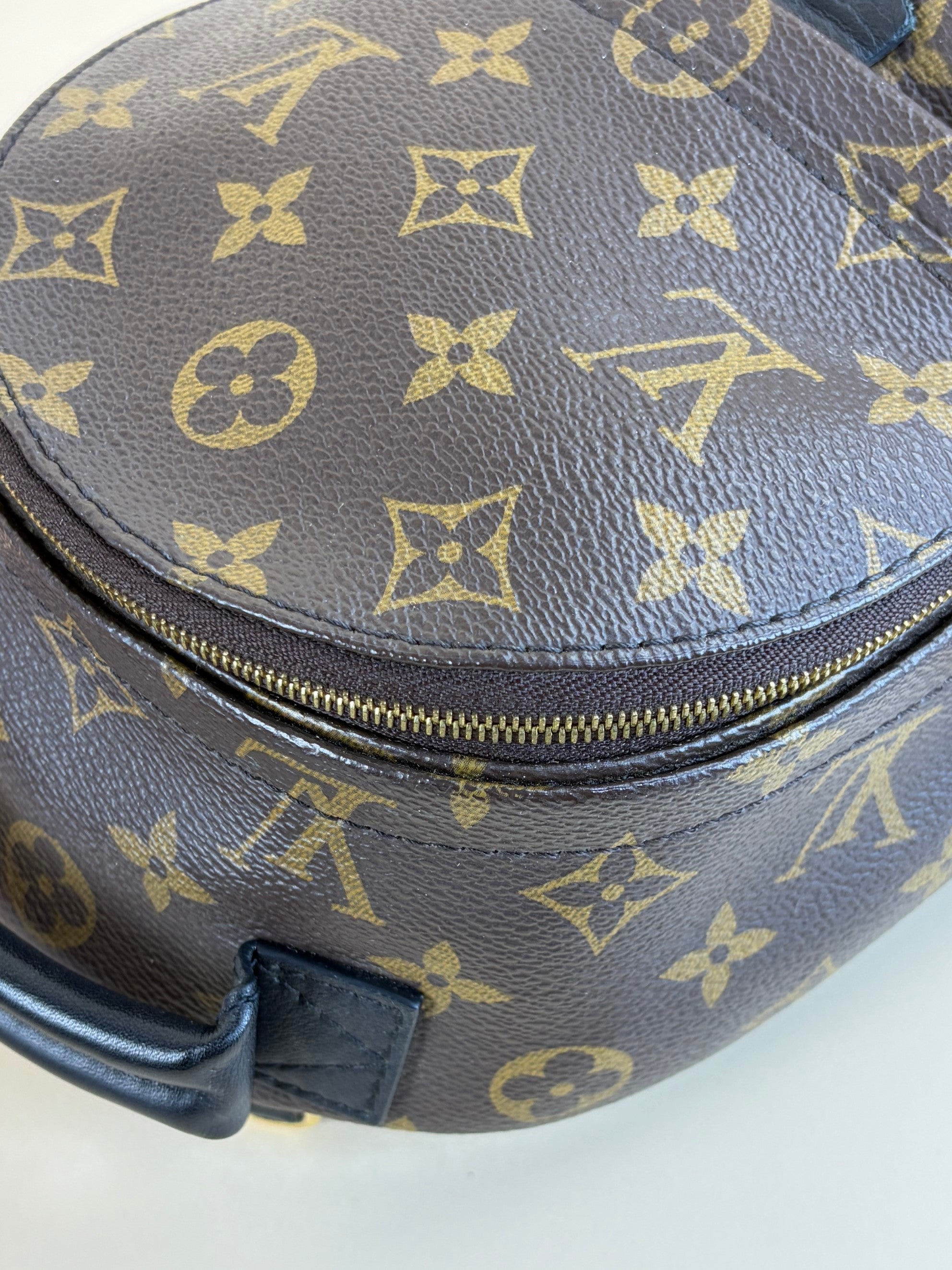 Louis Vuitton Monogram Palm Spring PM Backpack Bag