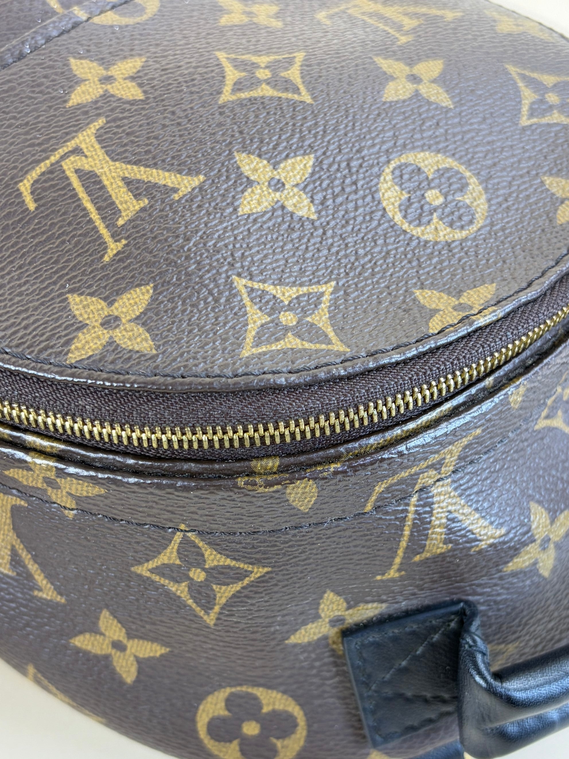 Louis Vuitton Monogram Palm Spring PM Backpack Bag