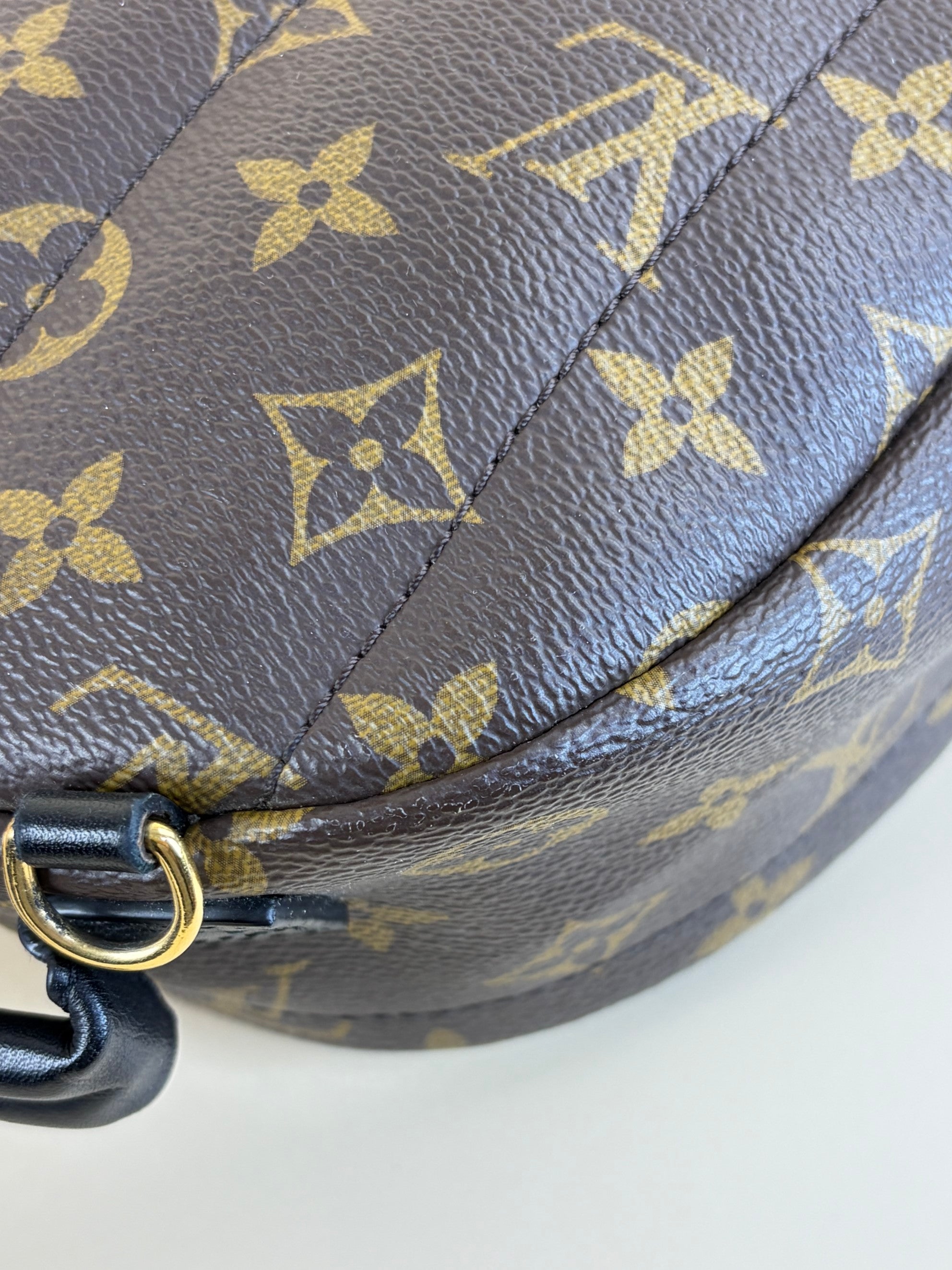 Louis Vuitton Monogram Palm Spring PM Backpack Bag