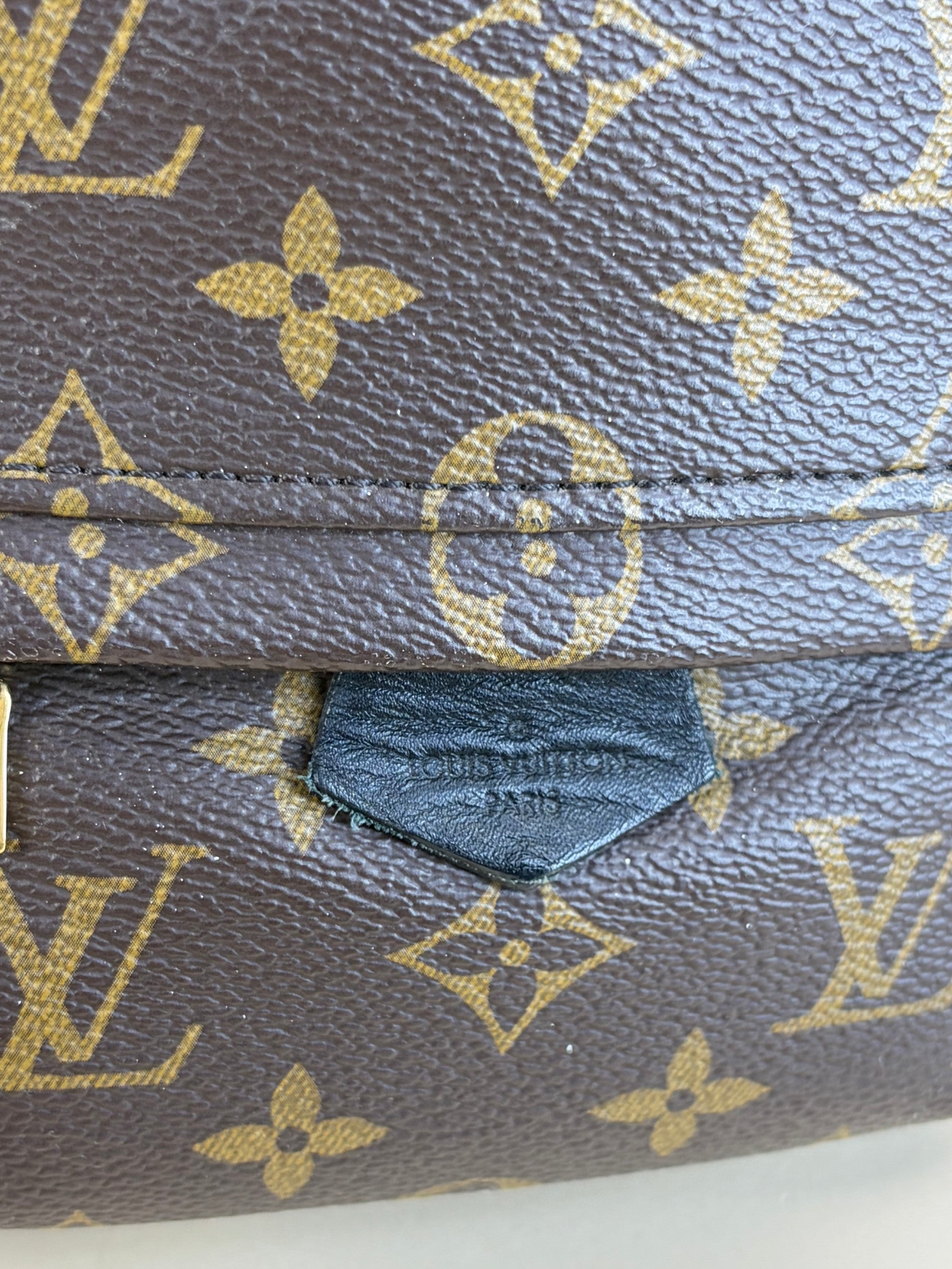 Louis Vuitton Monogram Palm Spring PM Backpack Bag