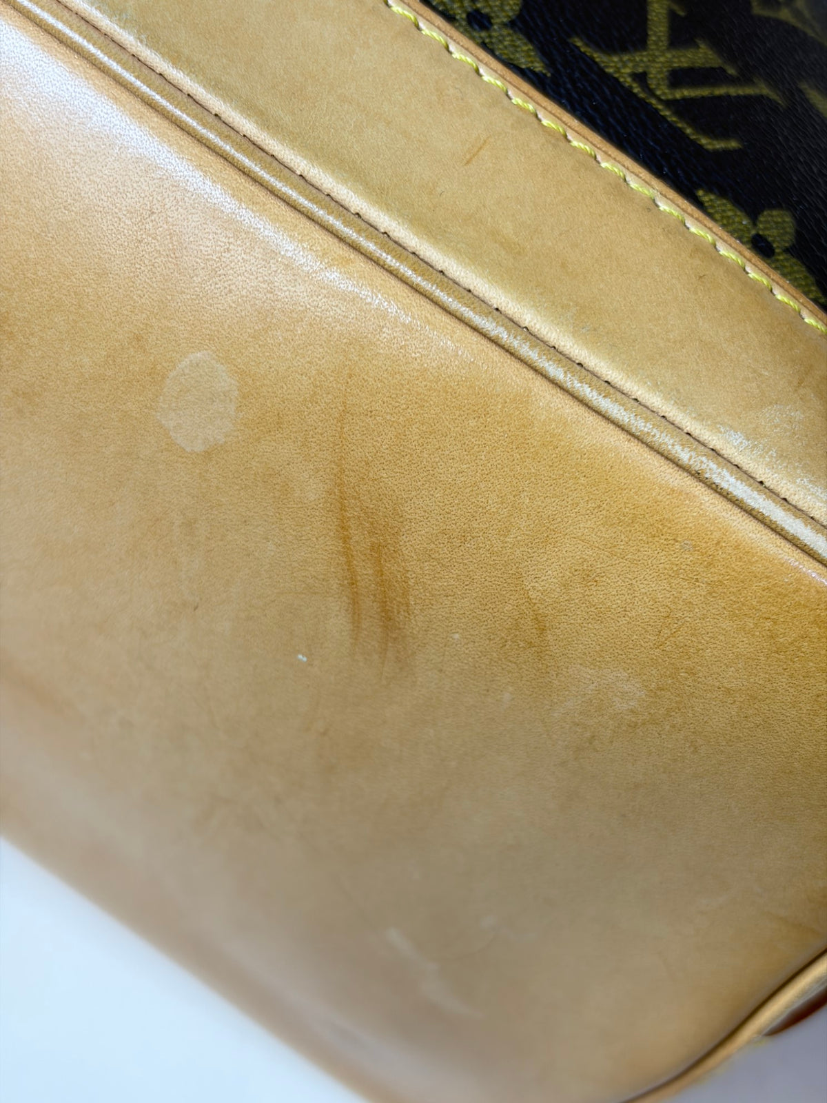 Louis Vuitton Monogram canvas Alma PM Bag