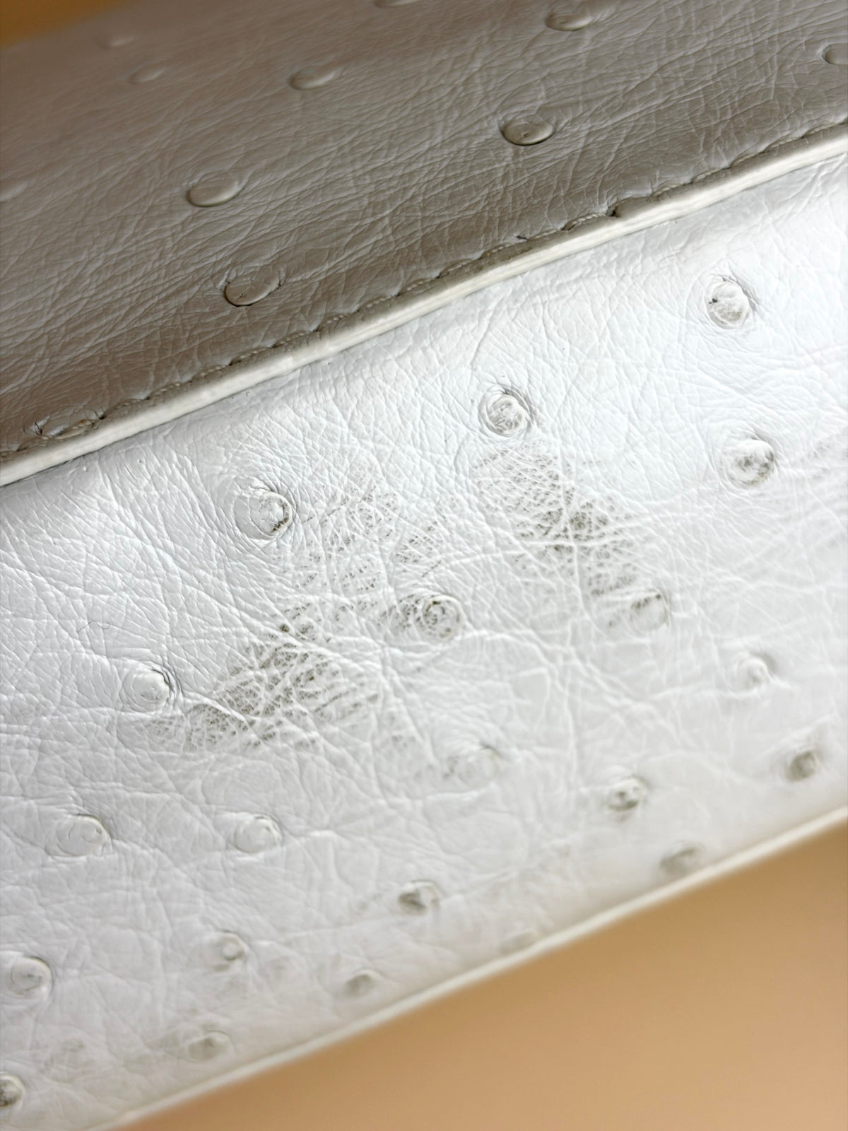 Loro piana white ostrich leather mini clui crossbody bag