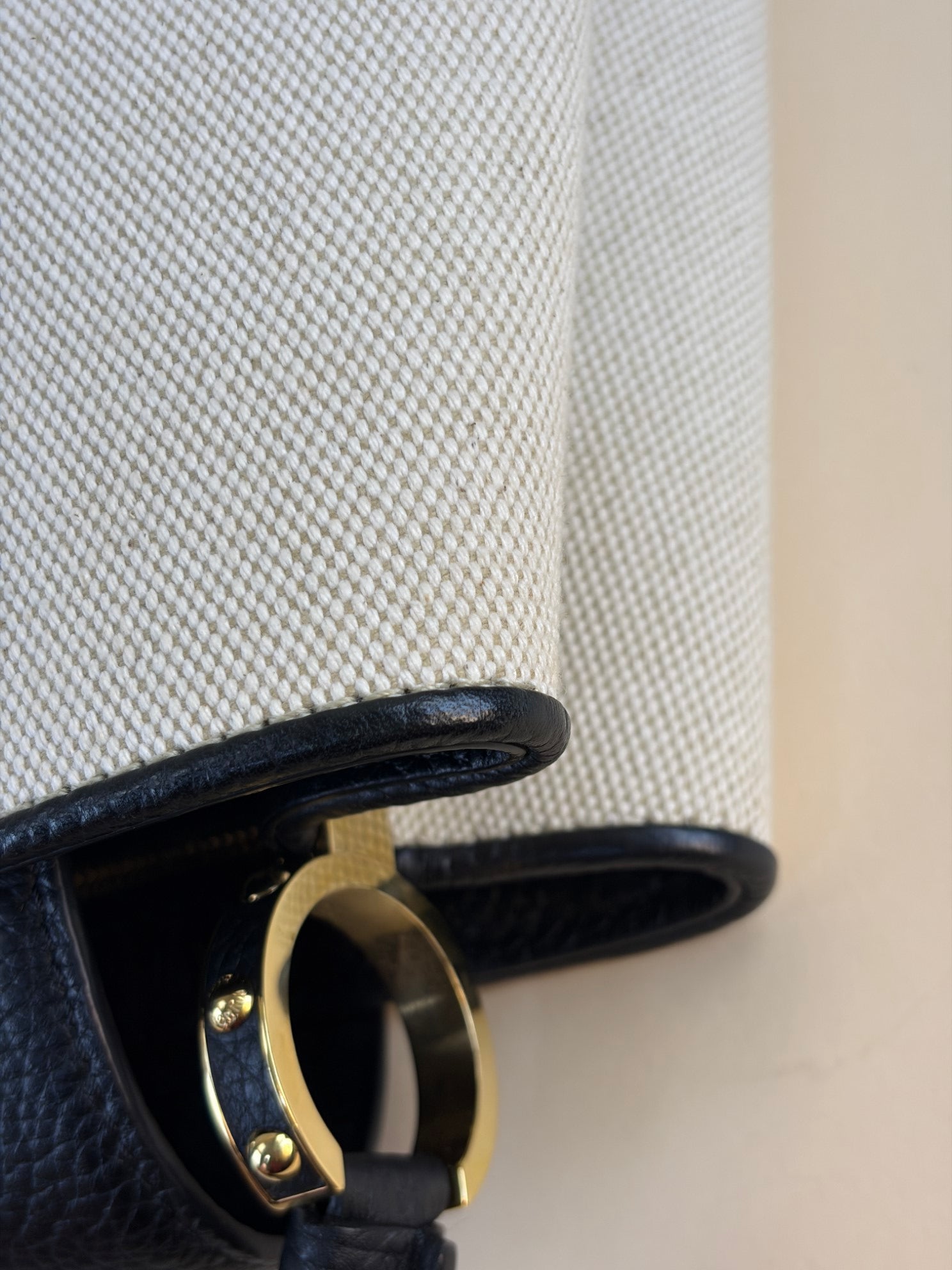 Louis Vuitton Bicolor Taurillon Capucines MM Handbag with Strap