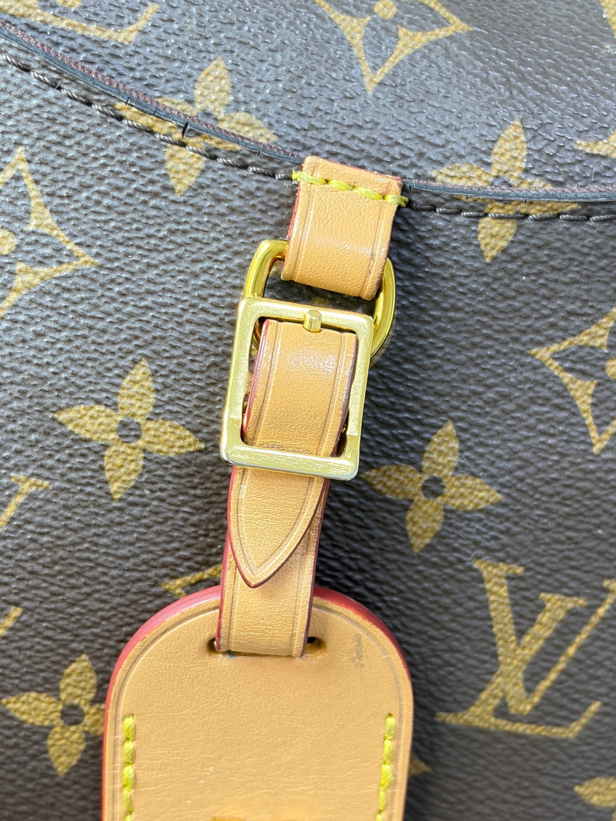 Louis Vuitton monogram Odeon pm cross body