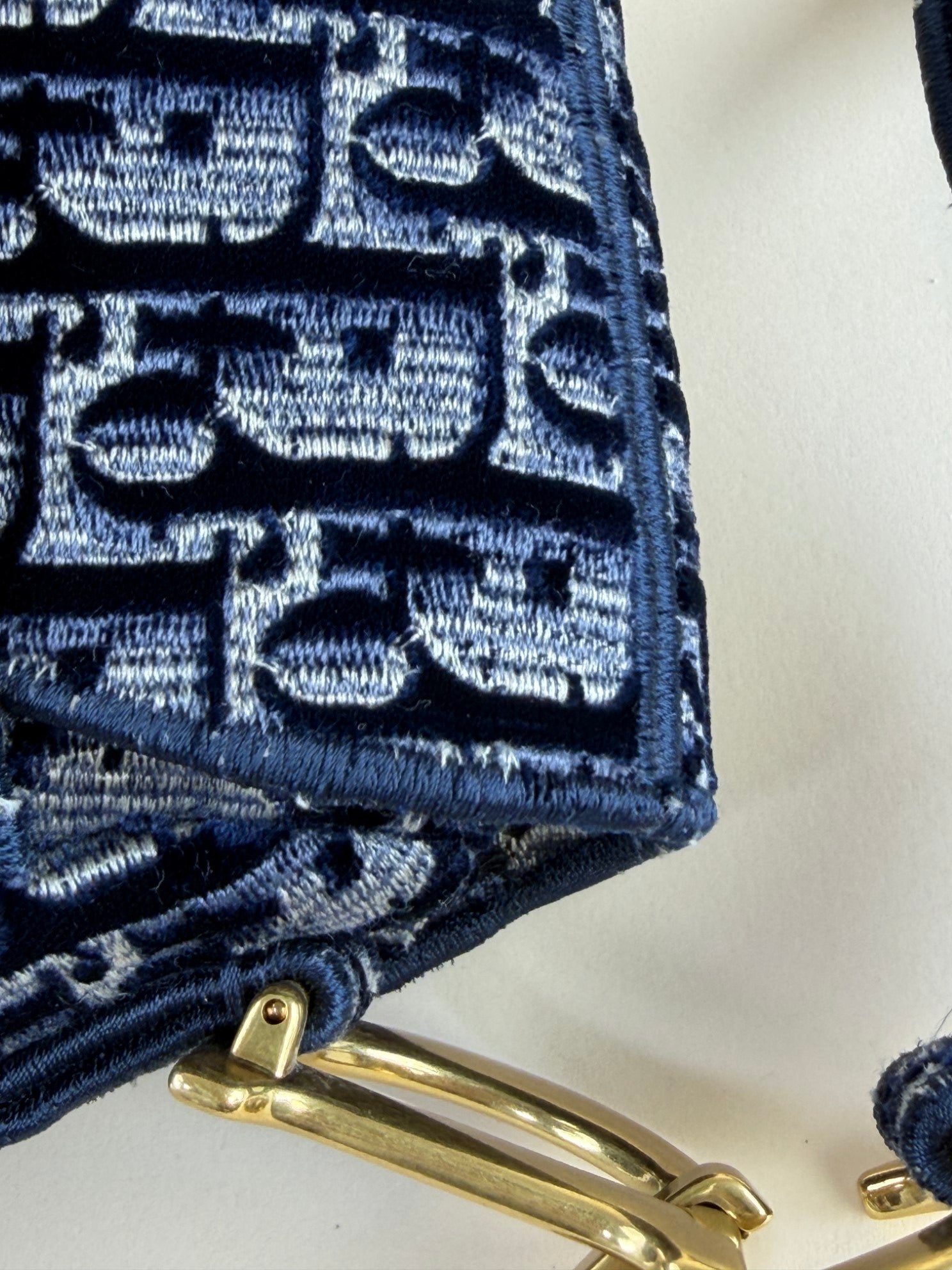Christian Dior blue Oblique Saddle velvet