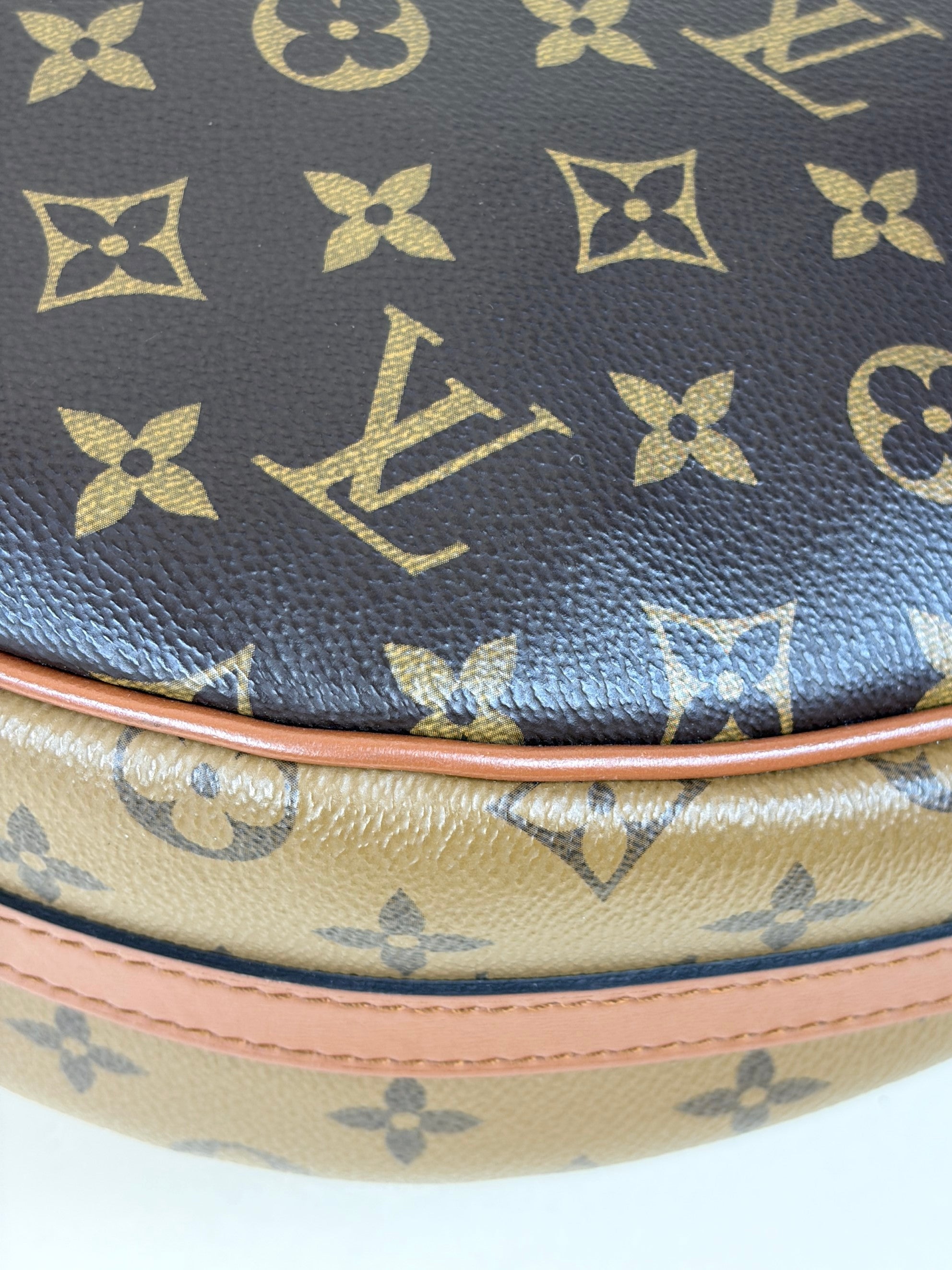 Louis Vuitton Monogram Reverse Loop Hobo Bag