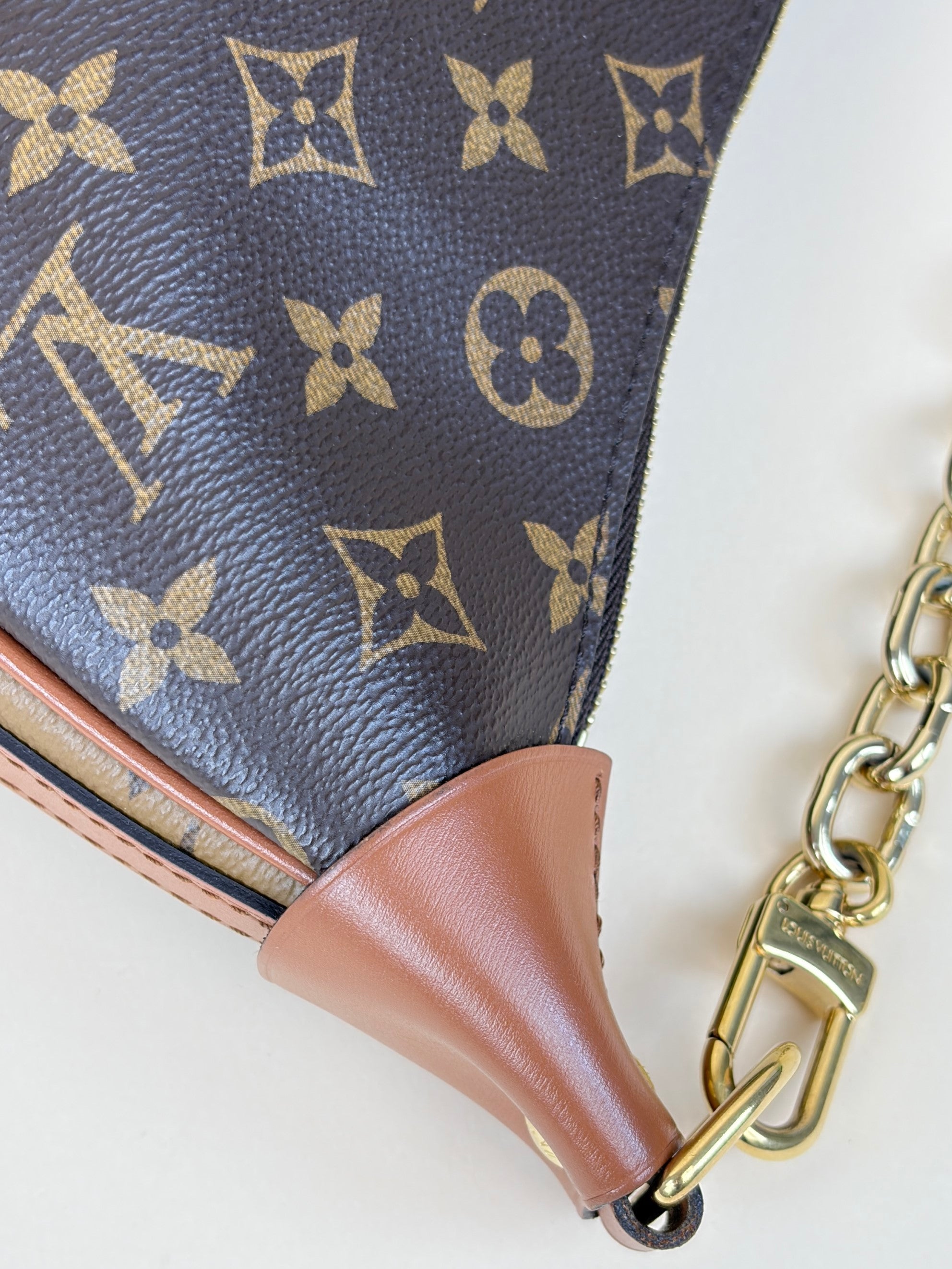 Louis Vuitton Monogram Reverse Loop Hobo Bag
