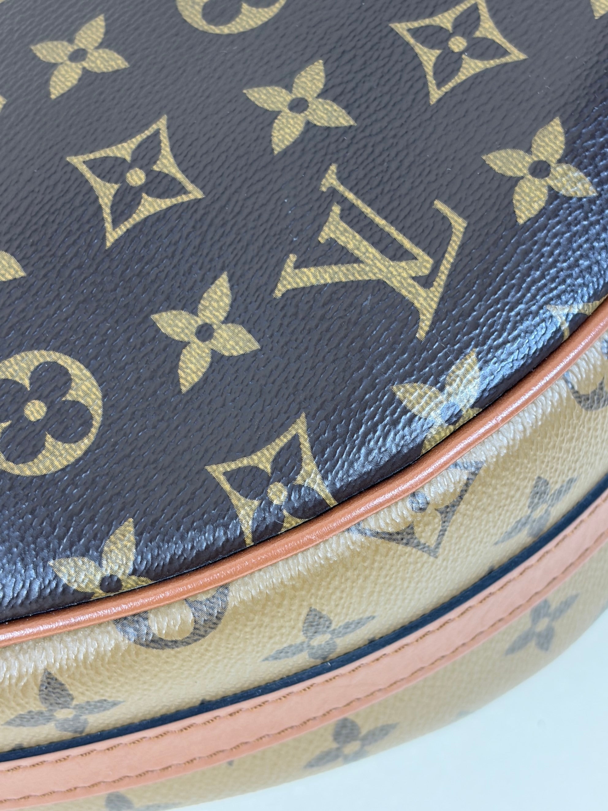 Louis Vuitton Monogram Reverse Loop Hobo Bag