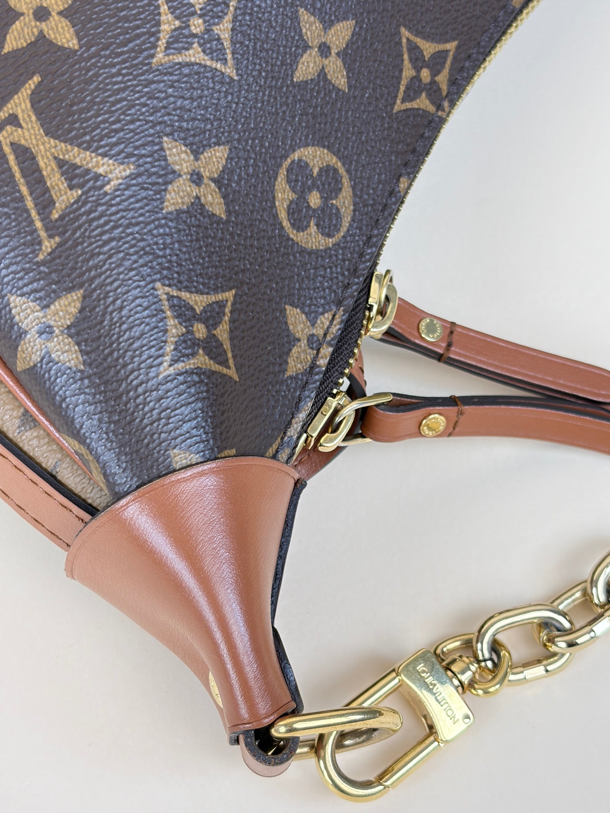 Louis Vuitton Monogram Reverse Loop Hobo Bag