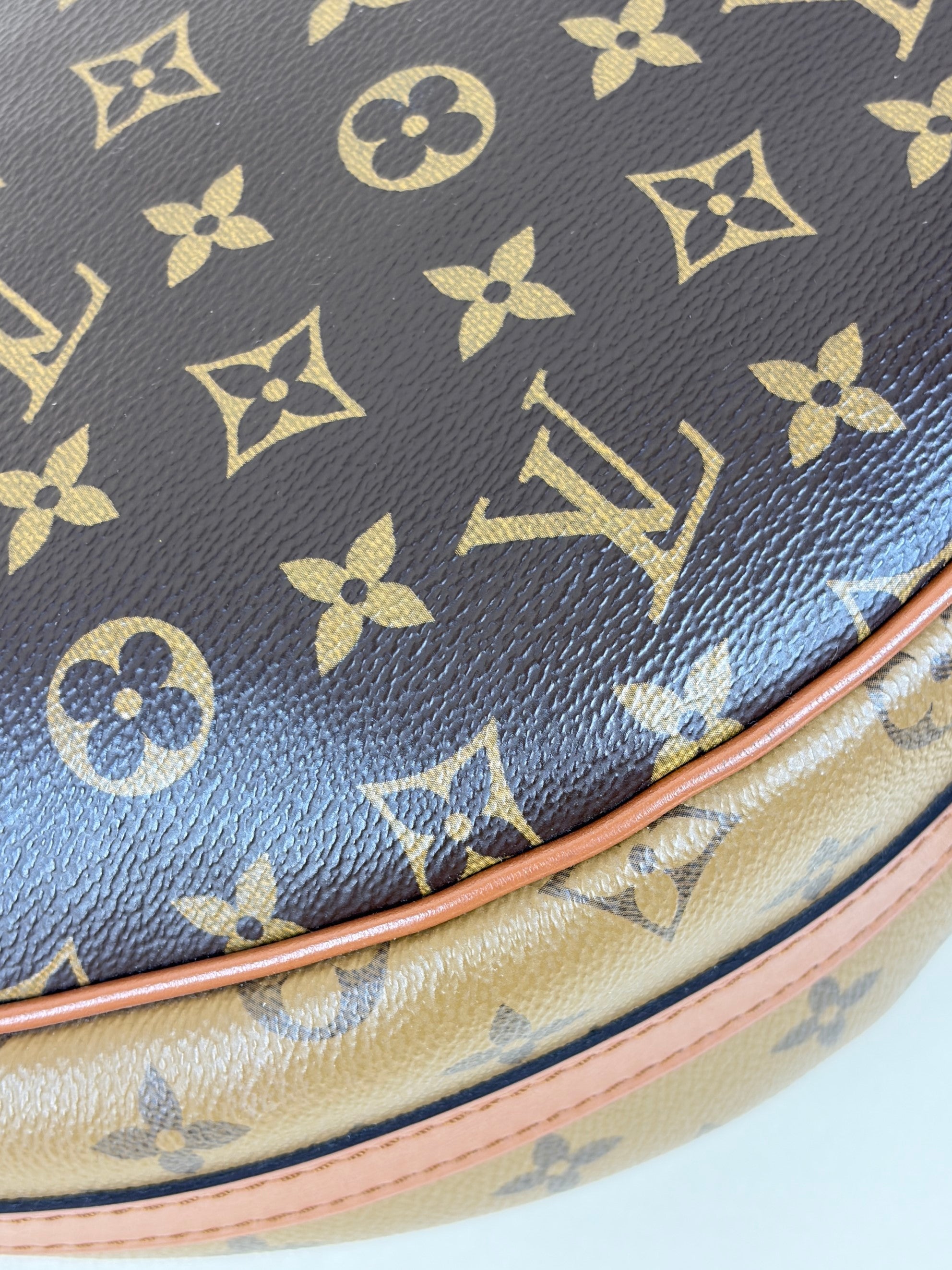 Louis Vuitton Monogram Reverse Loop Hobo Bag