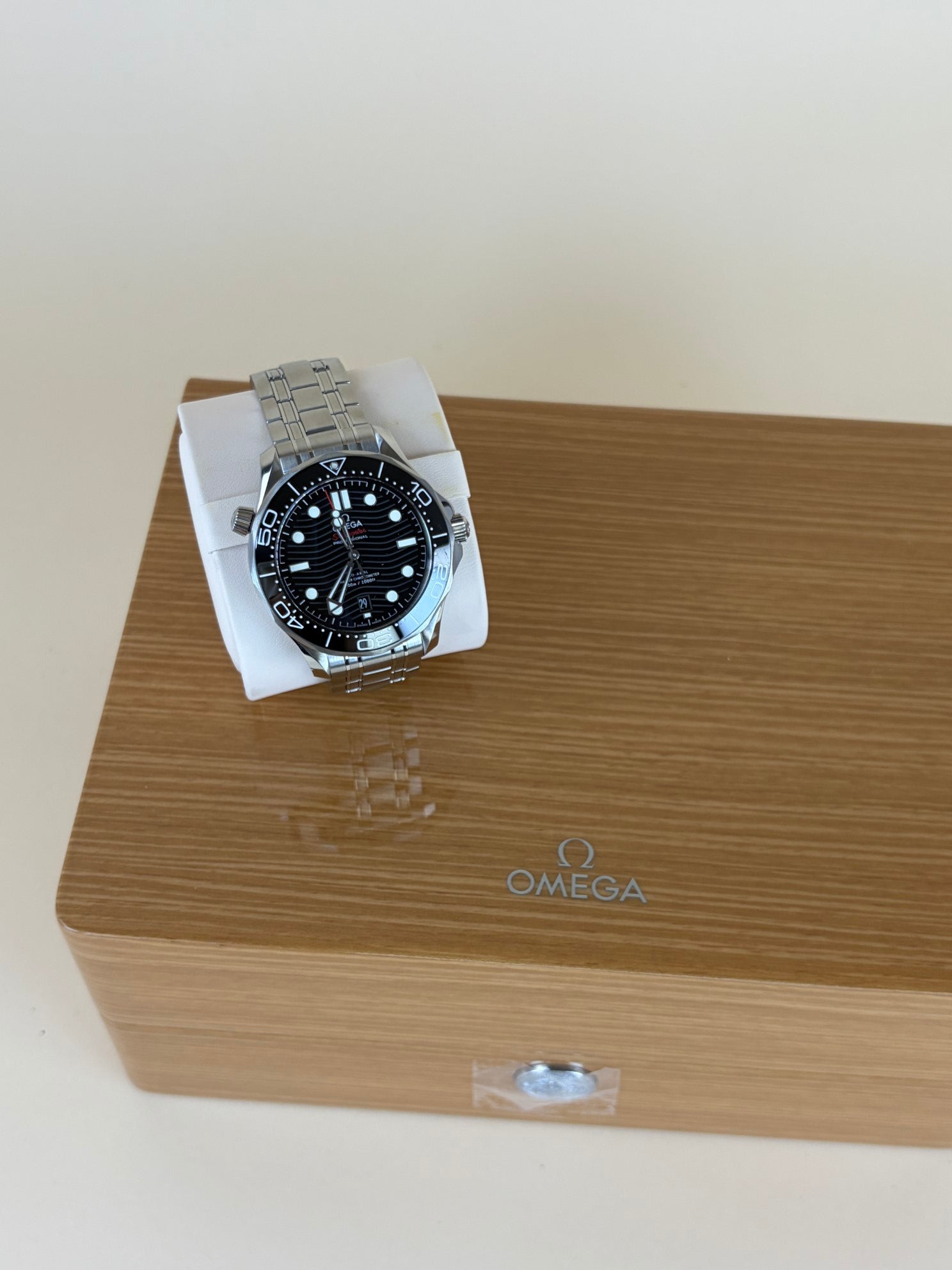 Omega Ted On Steel Master Diver 300m Watch