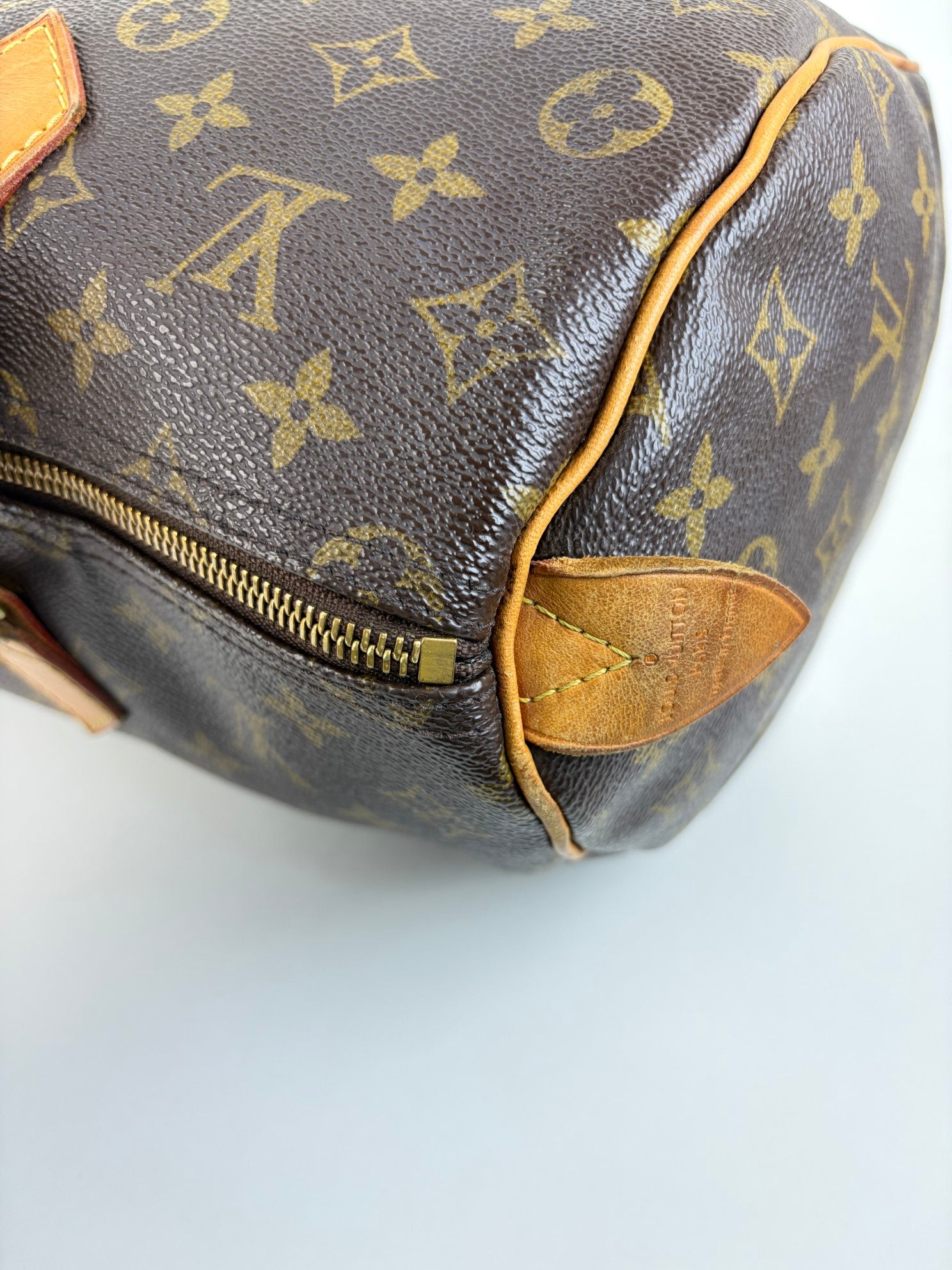 louis vuitton speedy monogram
