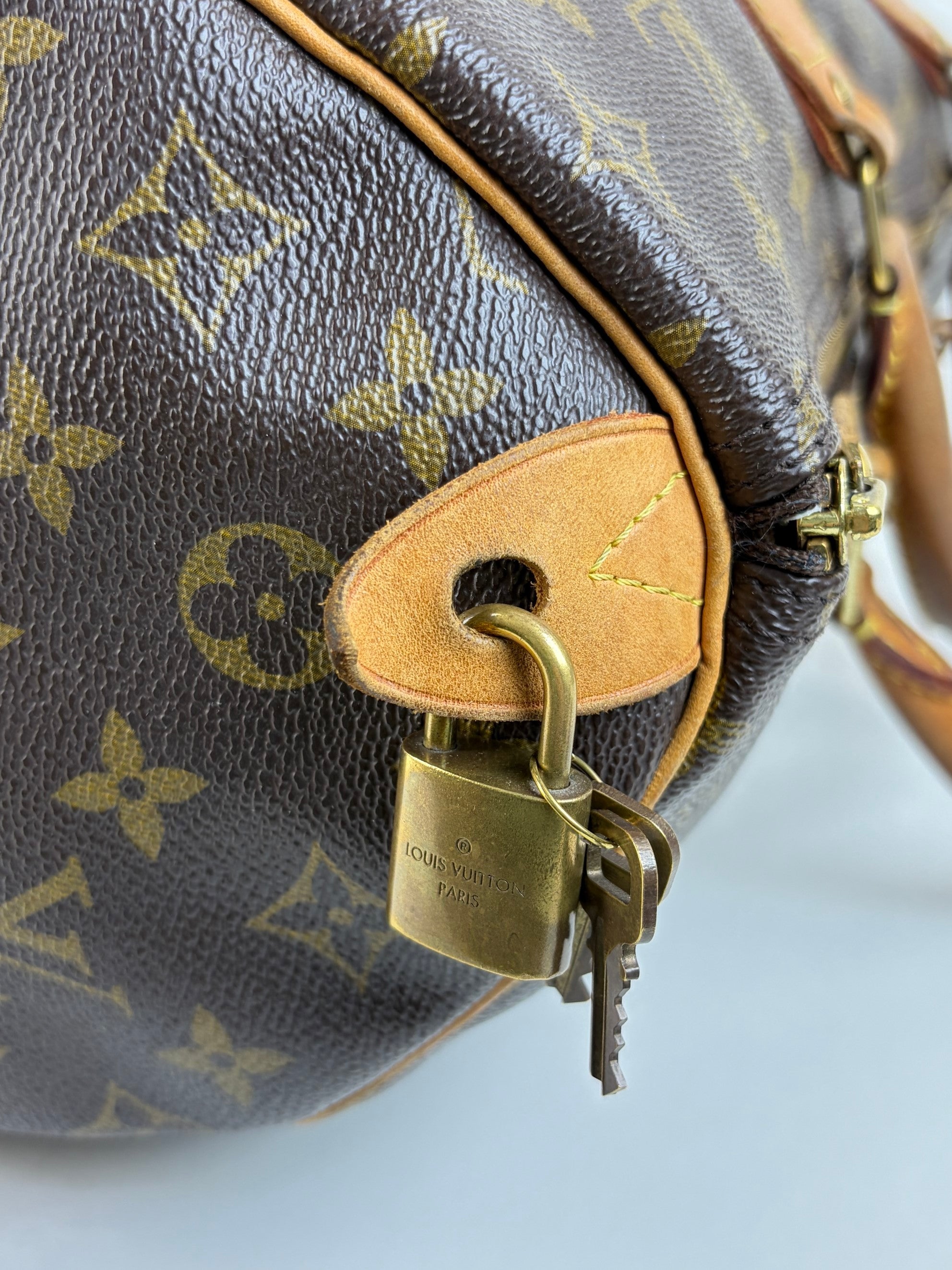 louis vuitton speedy monogram