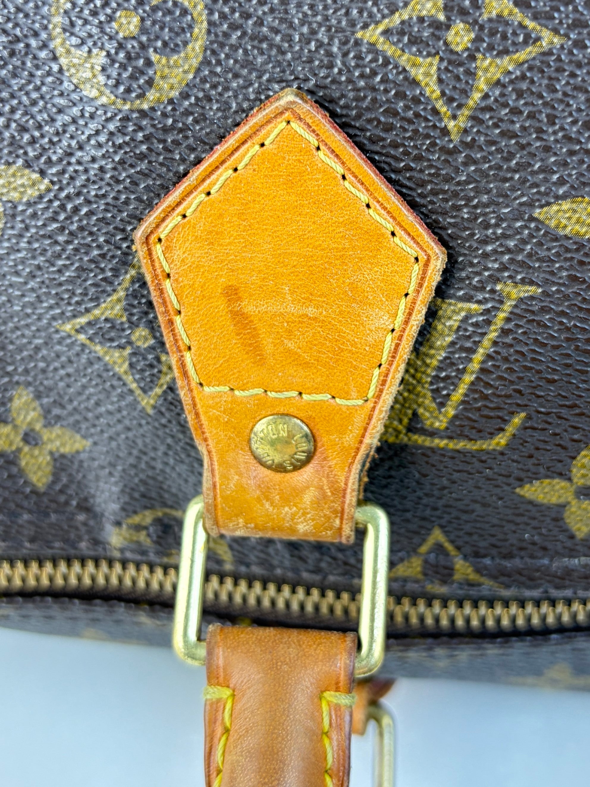 louis vuitton speedy monogram