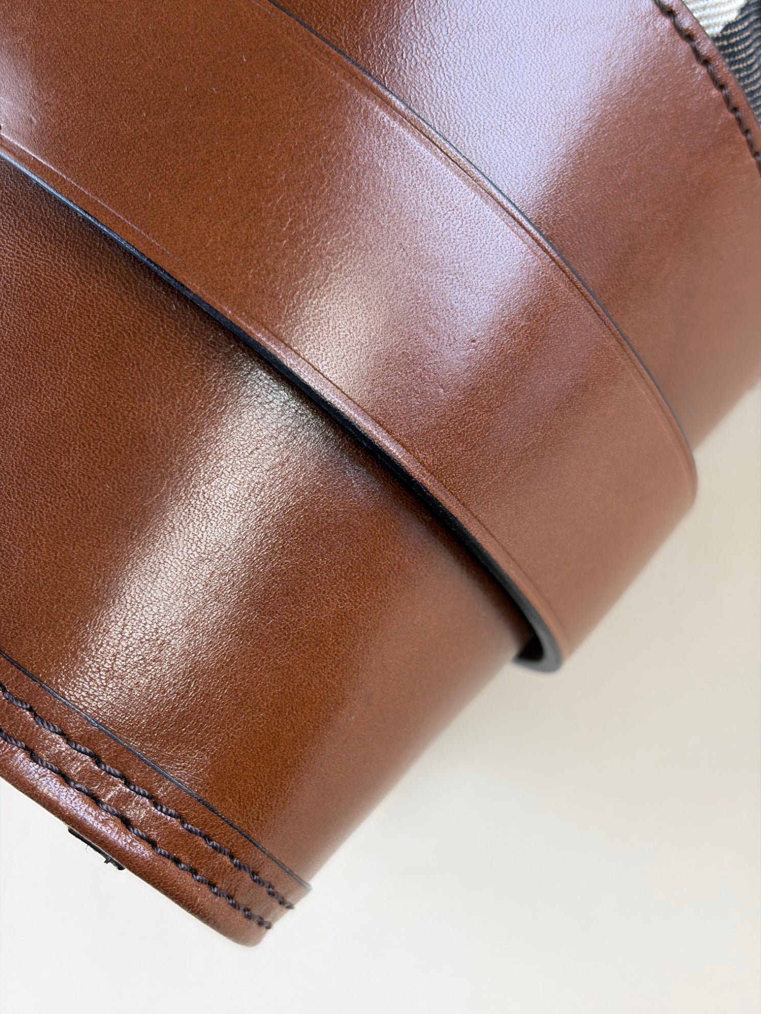 Burberry Brown Lynher Medium House Check Tote Bag