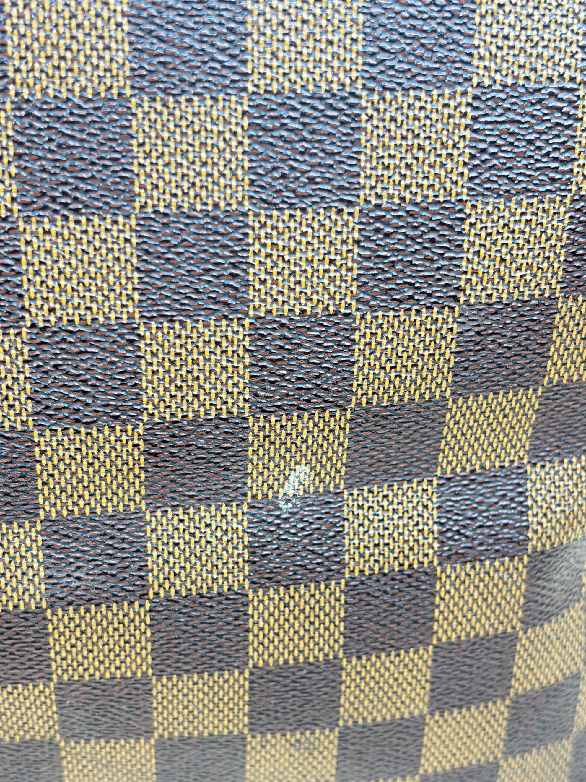 Louis Vuitton Damier Ebene Saleya MM Tote Bag