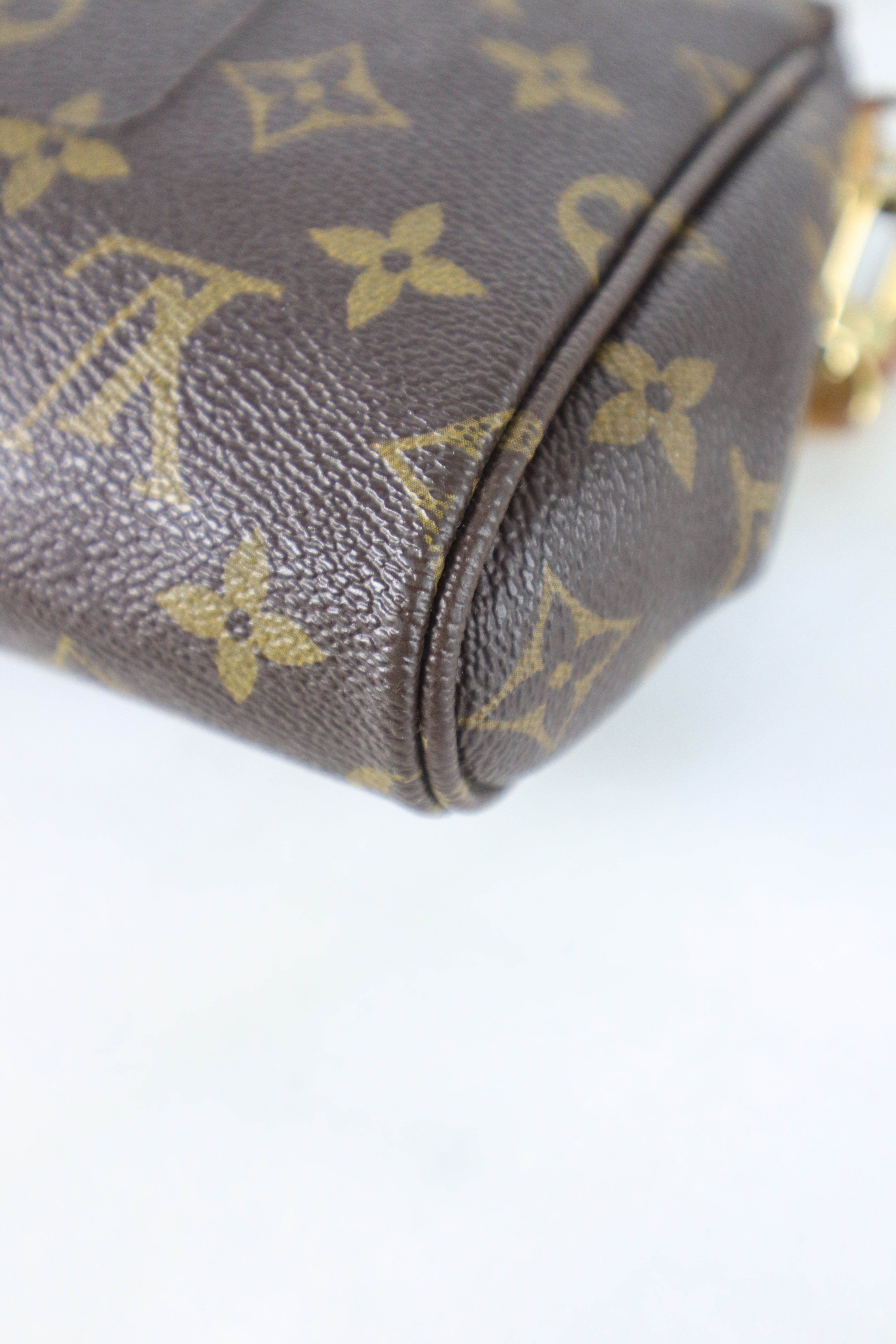 Louis Vuitton Monogram Favorite MM Bag