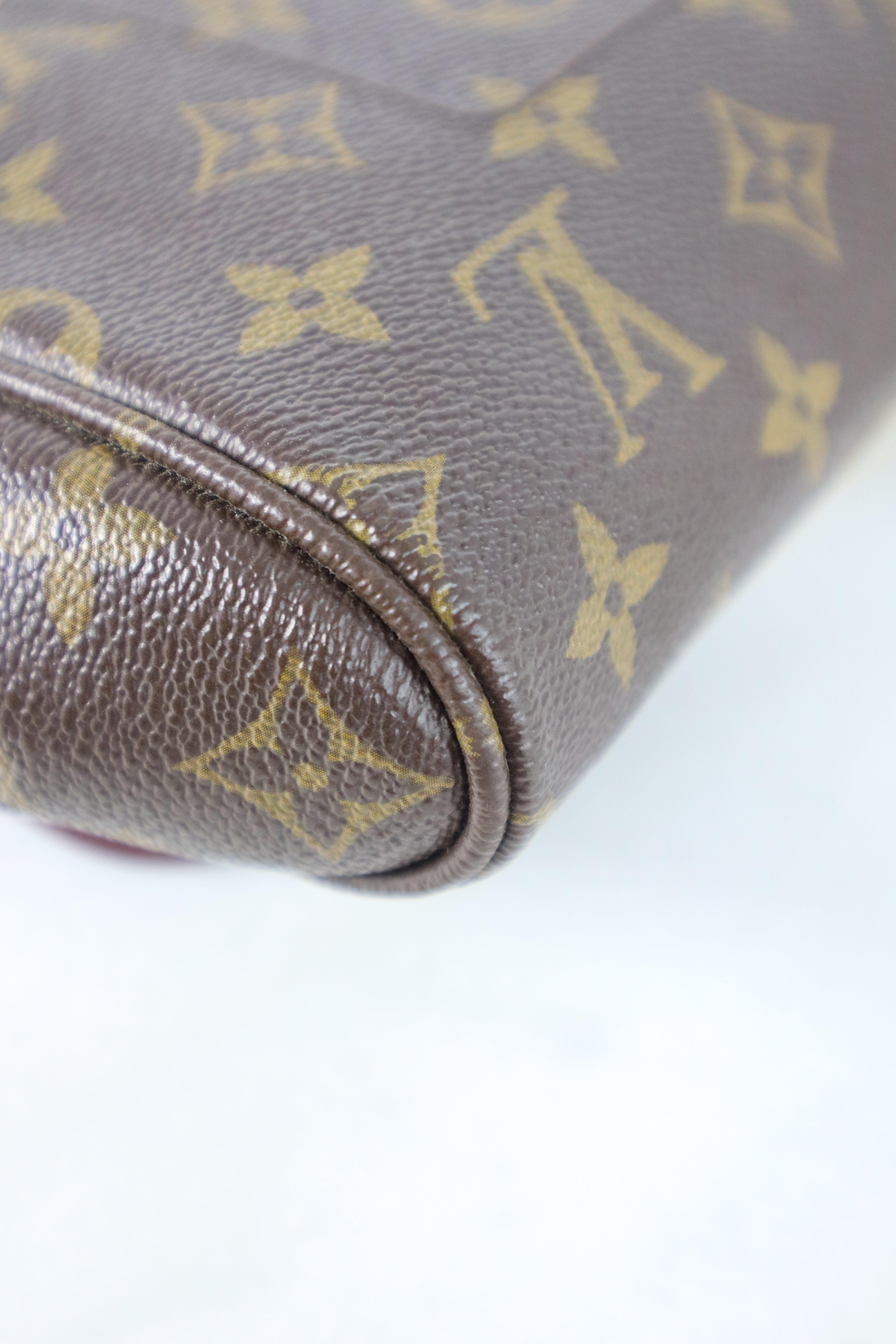 Louis Vuitton Monogram Favorite MM Bag