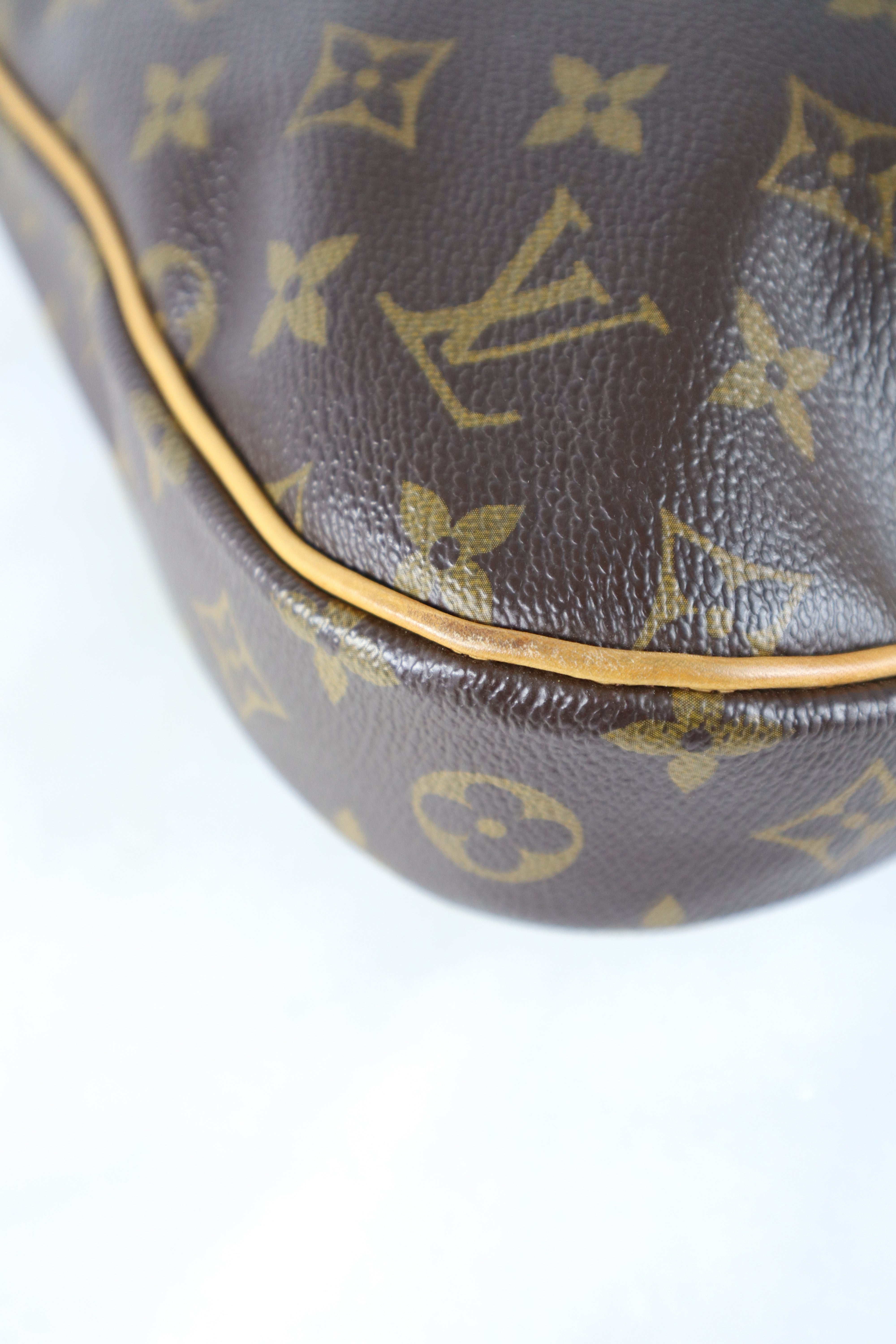 Louis Vuitton Monogram Odeon PM Crossbody Bag