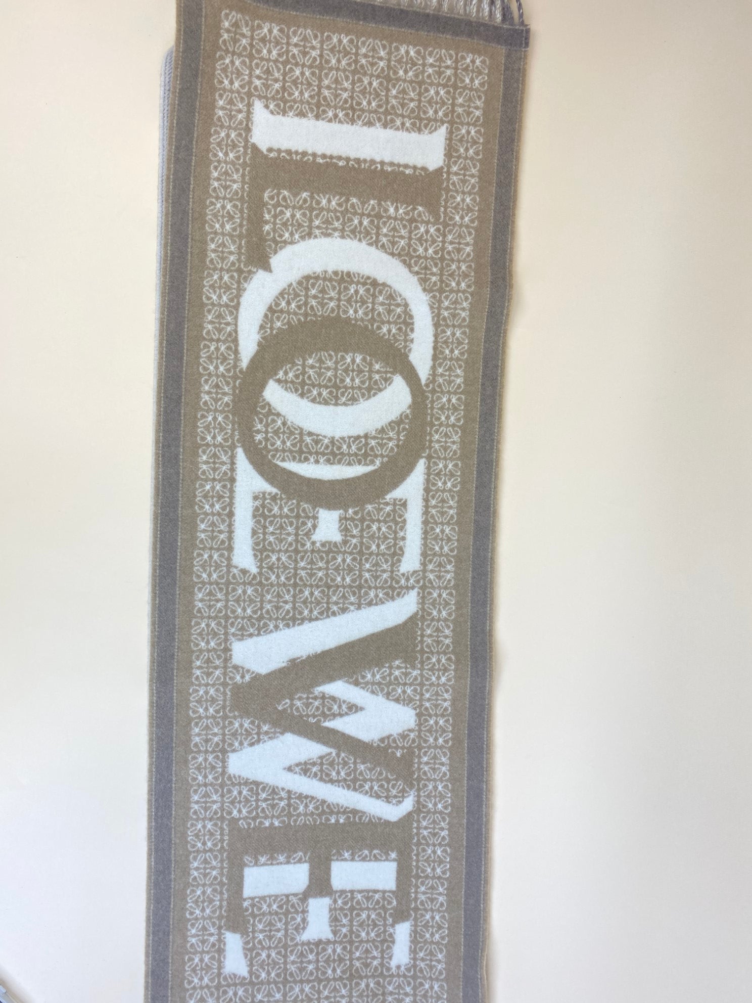 Loewe Bicolor Anagram Scarf