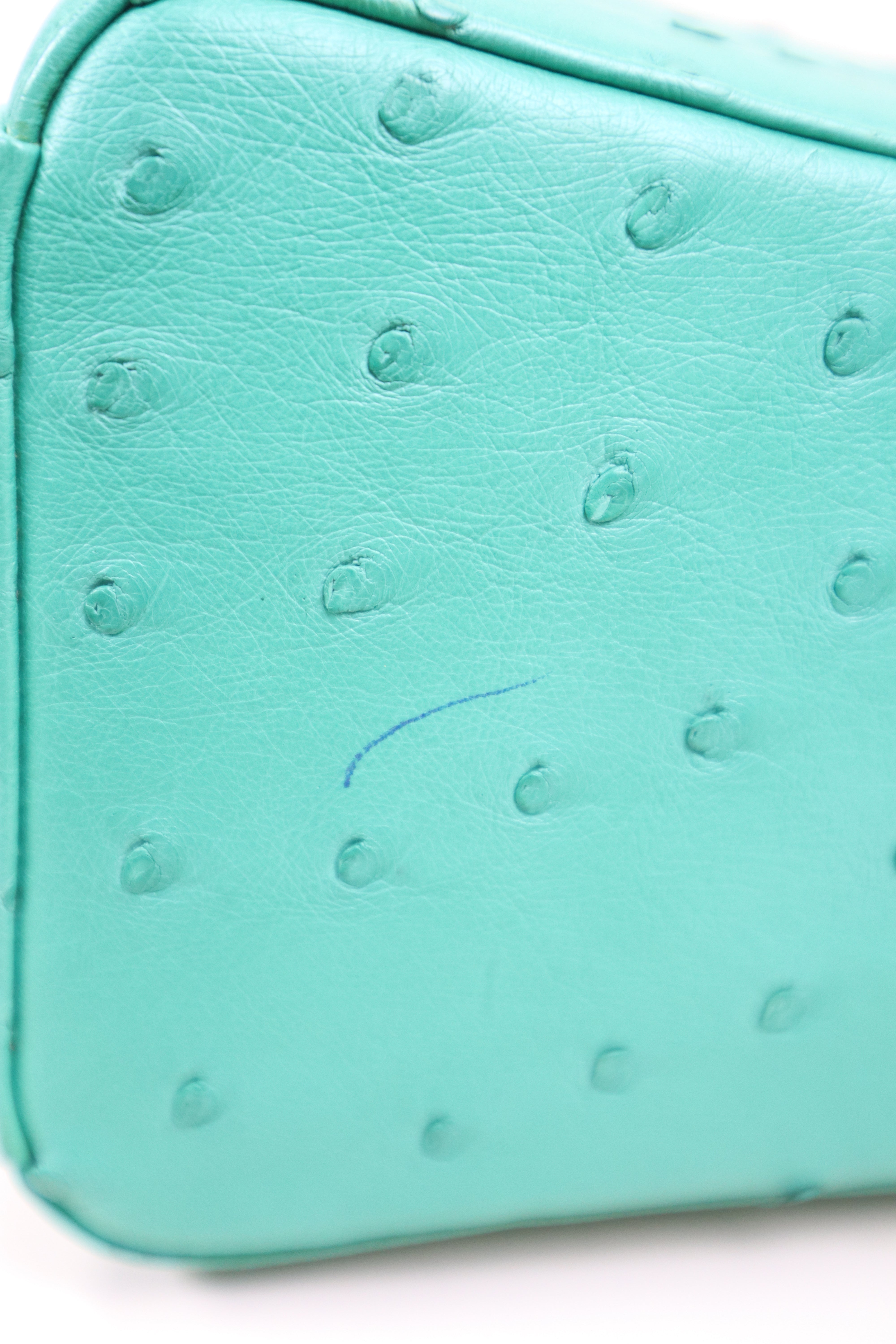 Christian Dior Mint Green Ostrich Medium Lady Dior Tote Bag