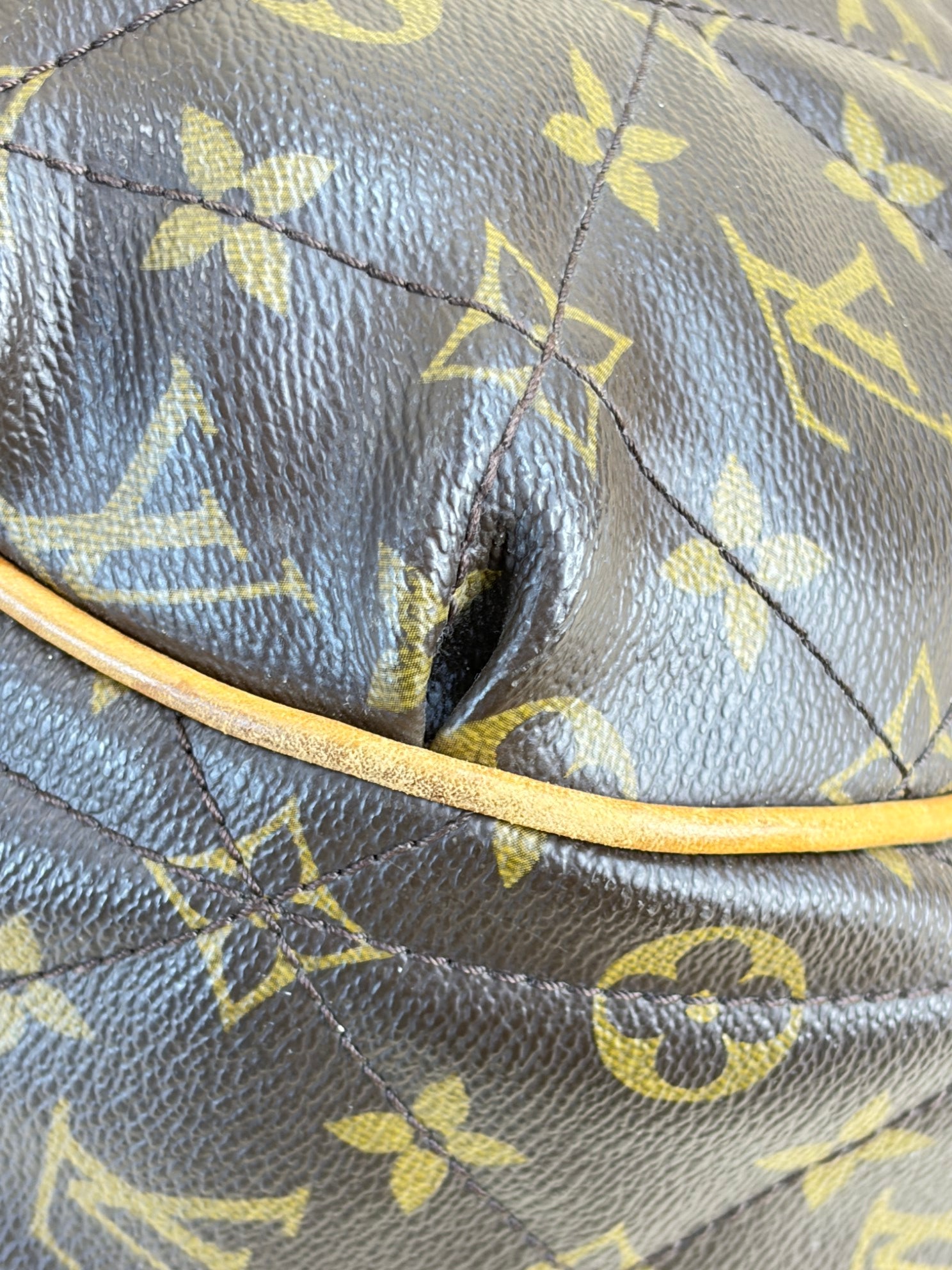 louis vuitton monogram etoile cty Shoulder Bag