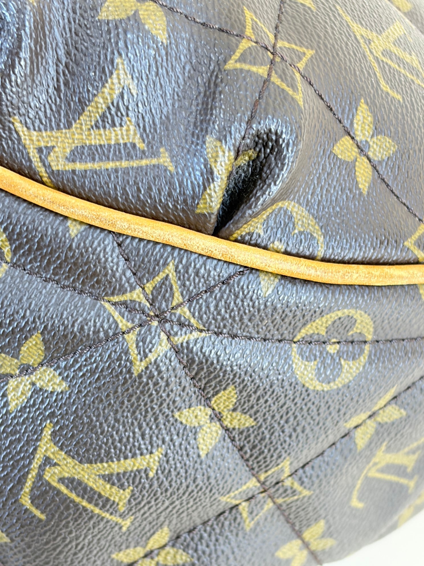 louis vuitton monogram etoile cty Shoulder Bag