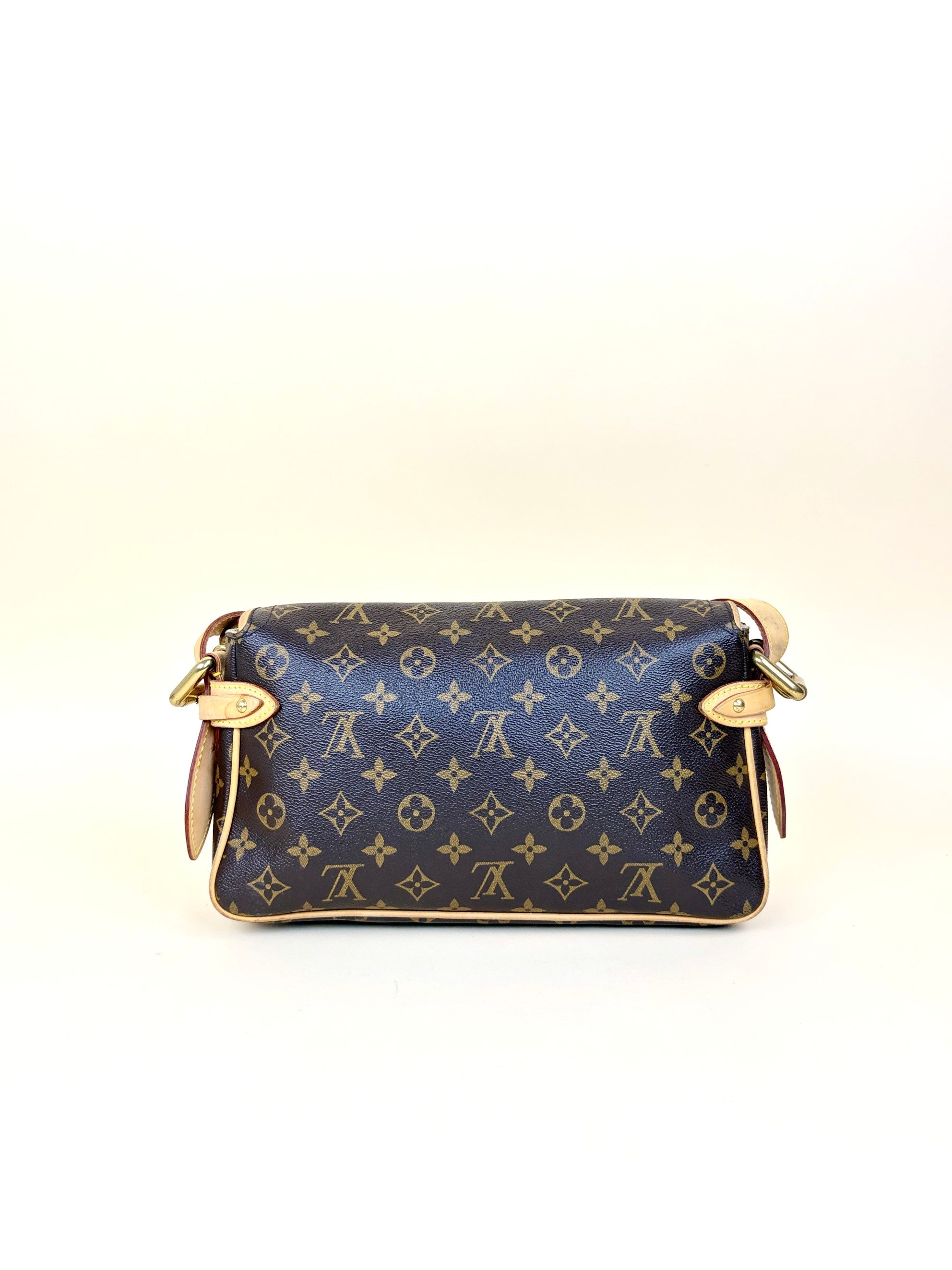 Louis Vuitton Monogram Hudson PM Shoulder Bag