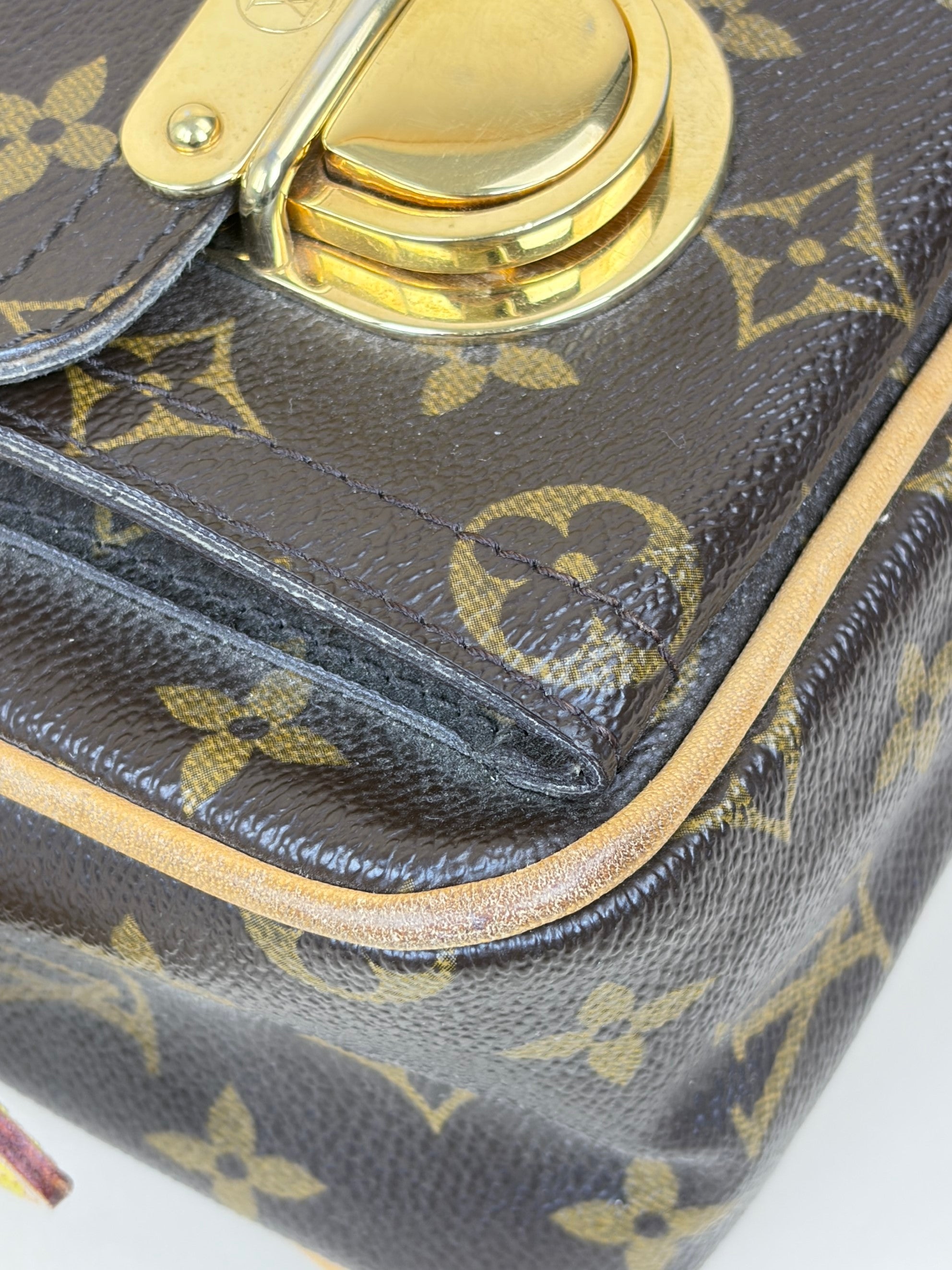 Louis Vuitton Monogram Hudson PM Shoulder Bag