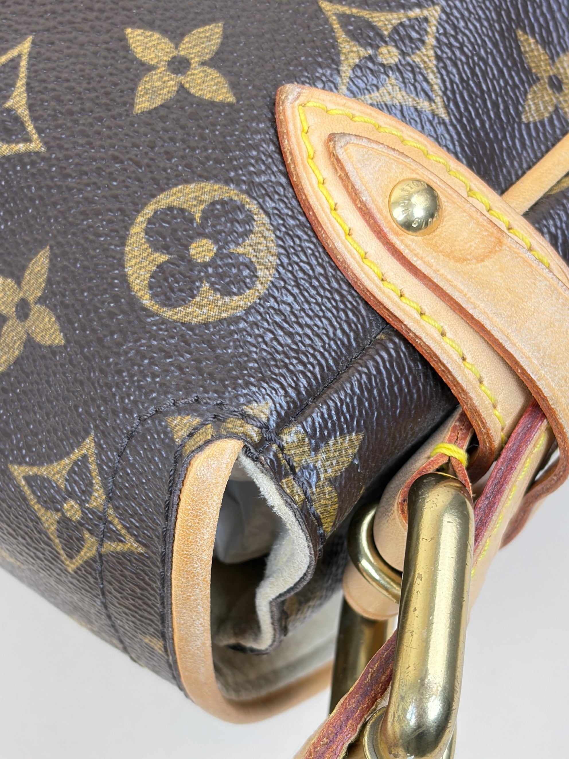 Louis Vuitton Monogram Hudson PM Shoulder Bag